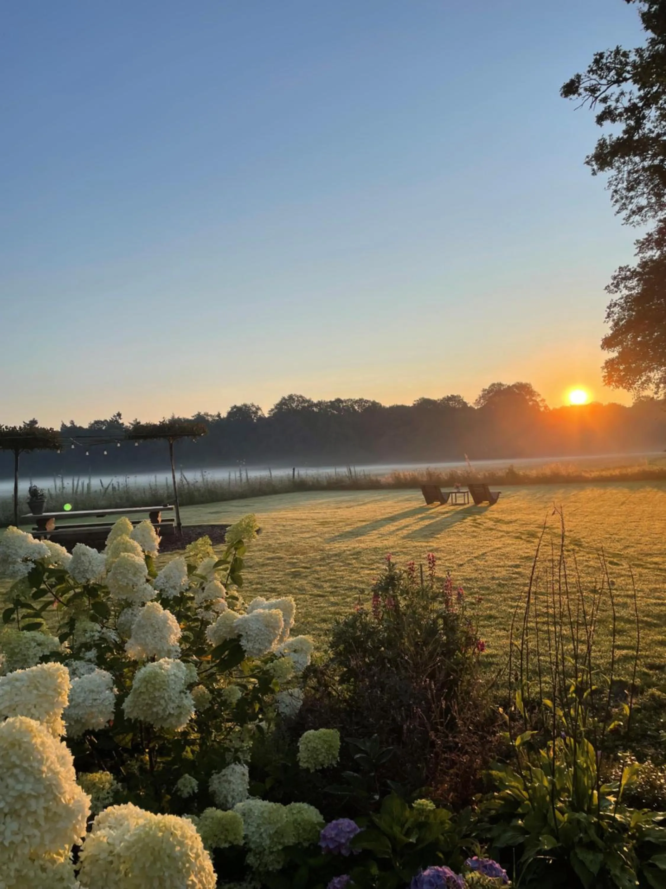 Garden in Domestico Bed & Breakfast
