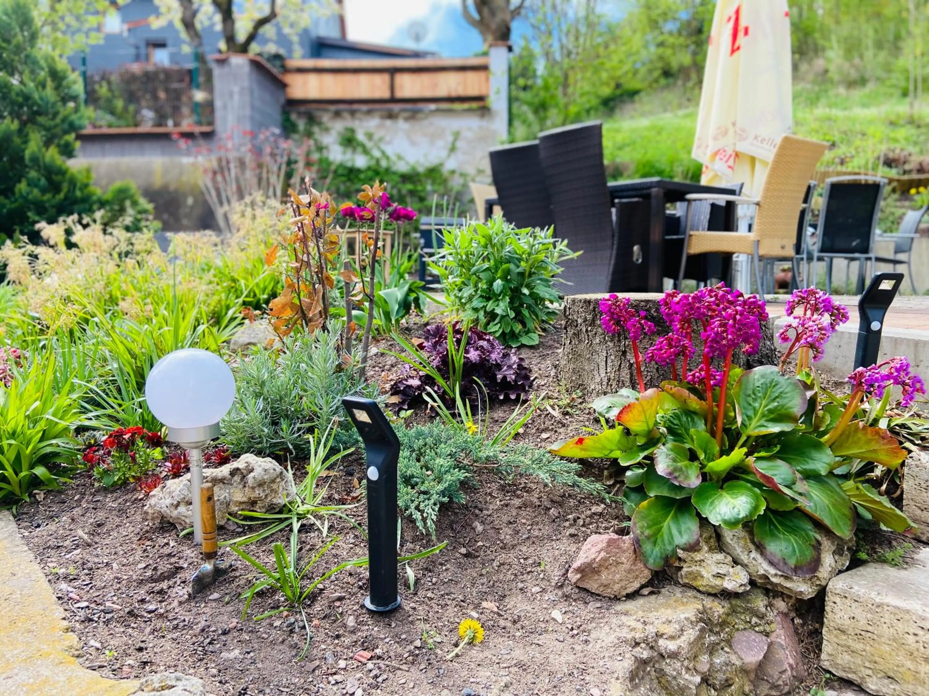 Balcony/Terrace in Pension Katharinenschule