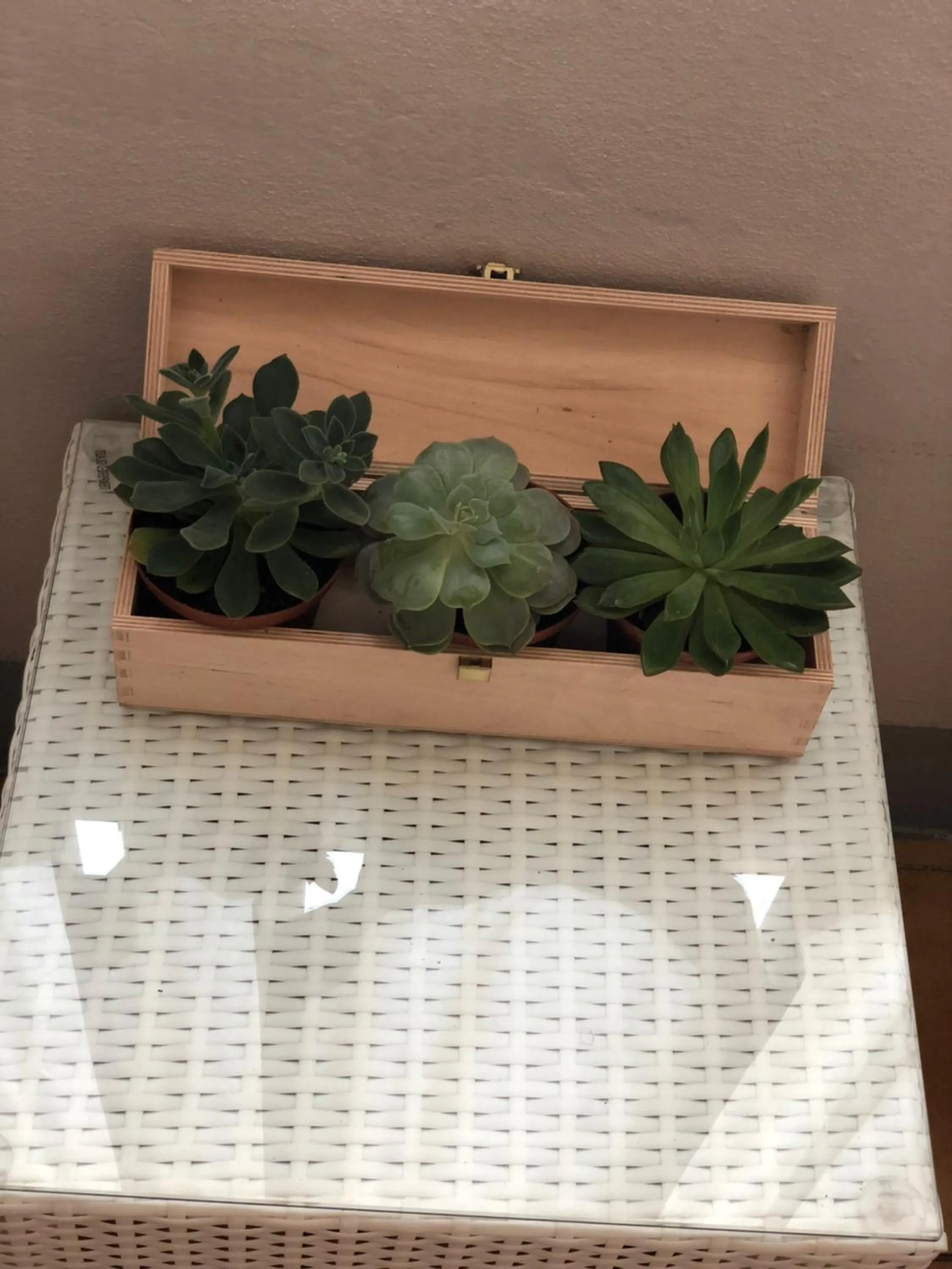 Lobby or reception in Hotel Lukas Vegetarian & Vegan