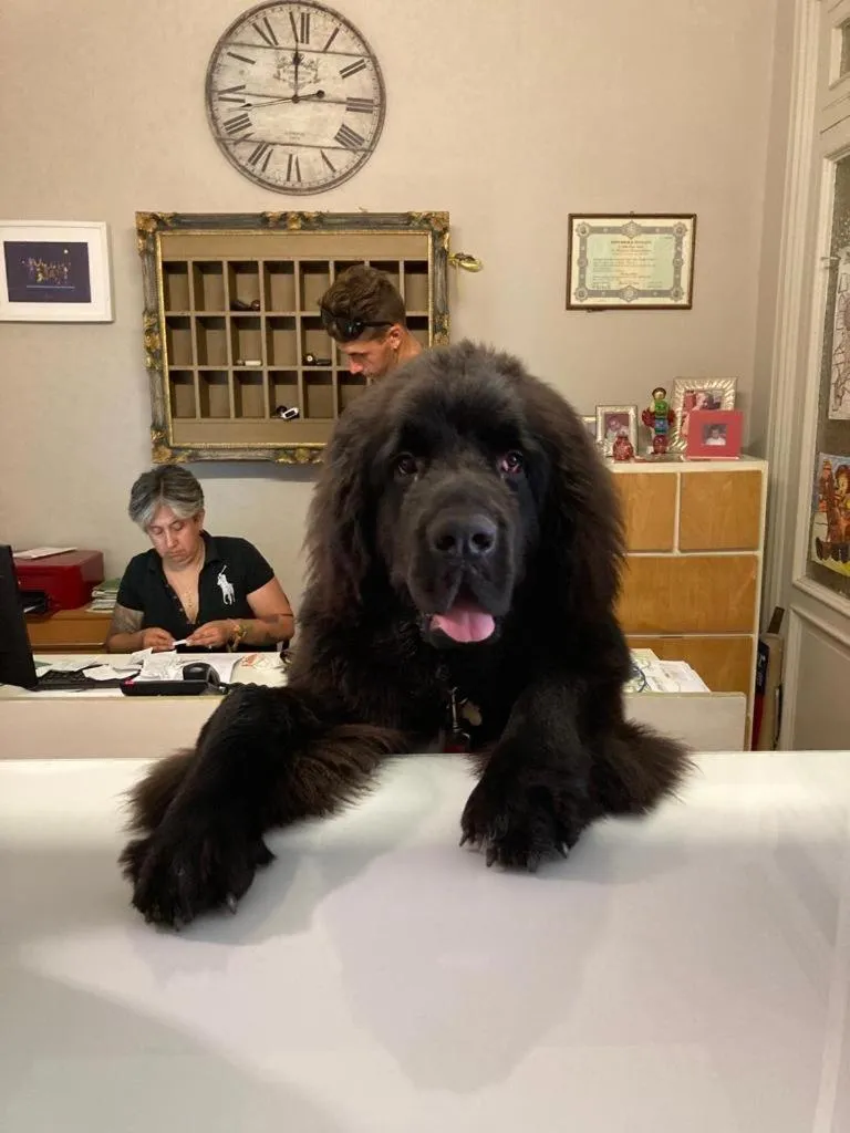 Pets in Hotel Lukas Vegetarian & Vegan