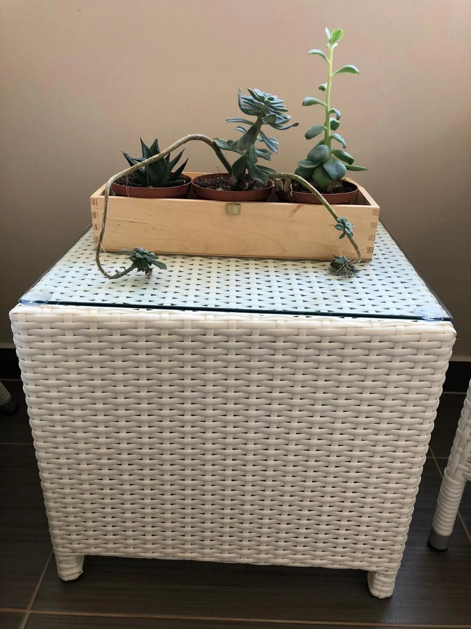 Decorative detail in Hotel Lukas Vegetarian & Vegan