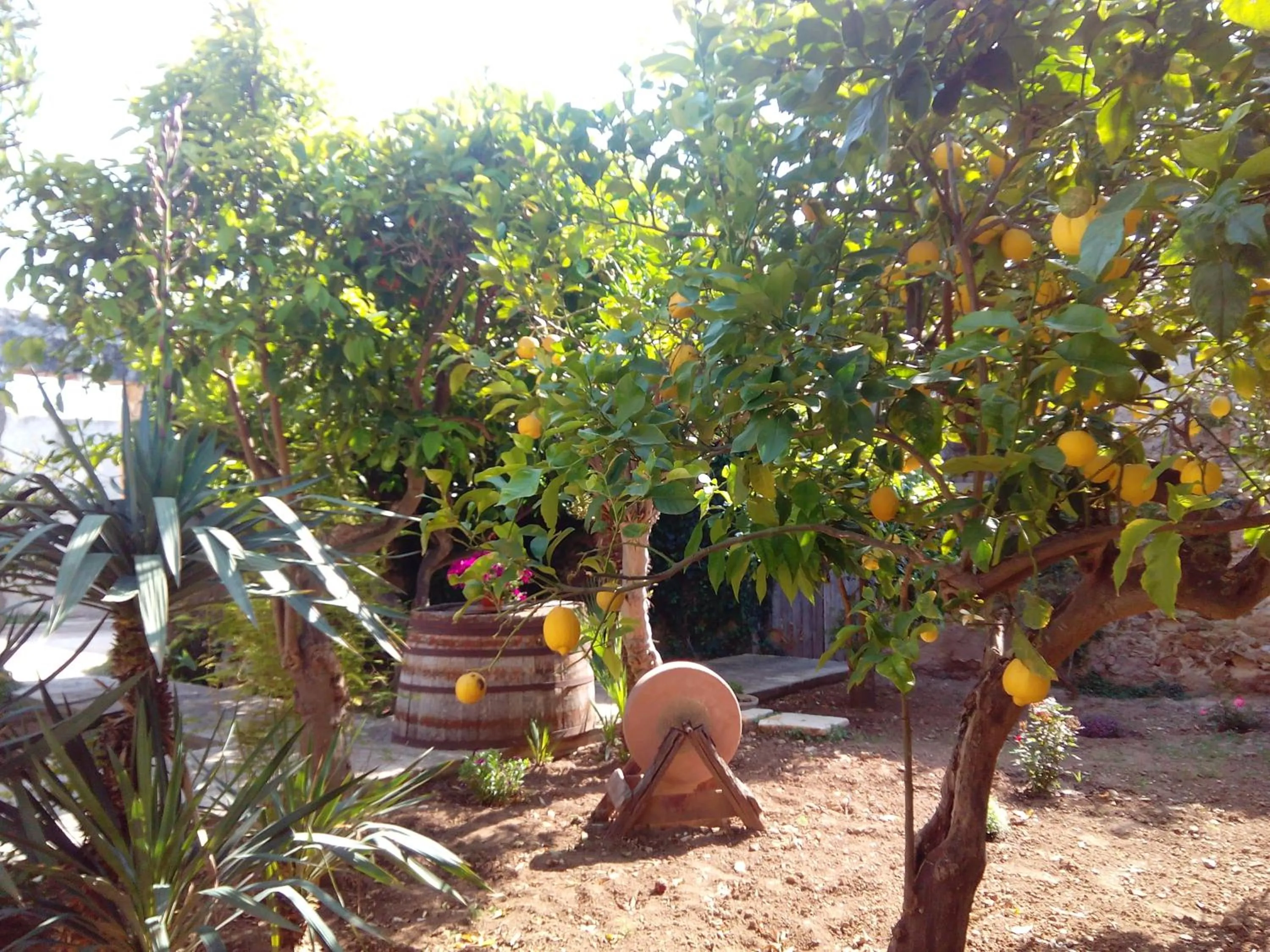 Natural landscape in Baglio Bellavista