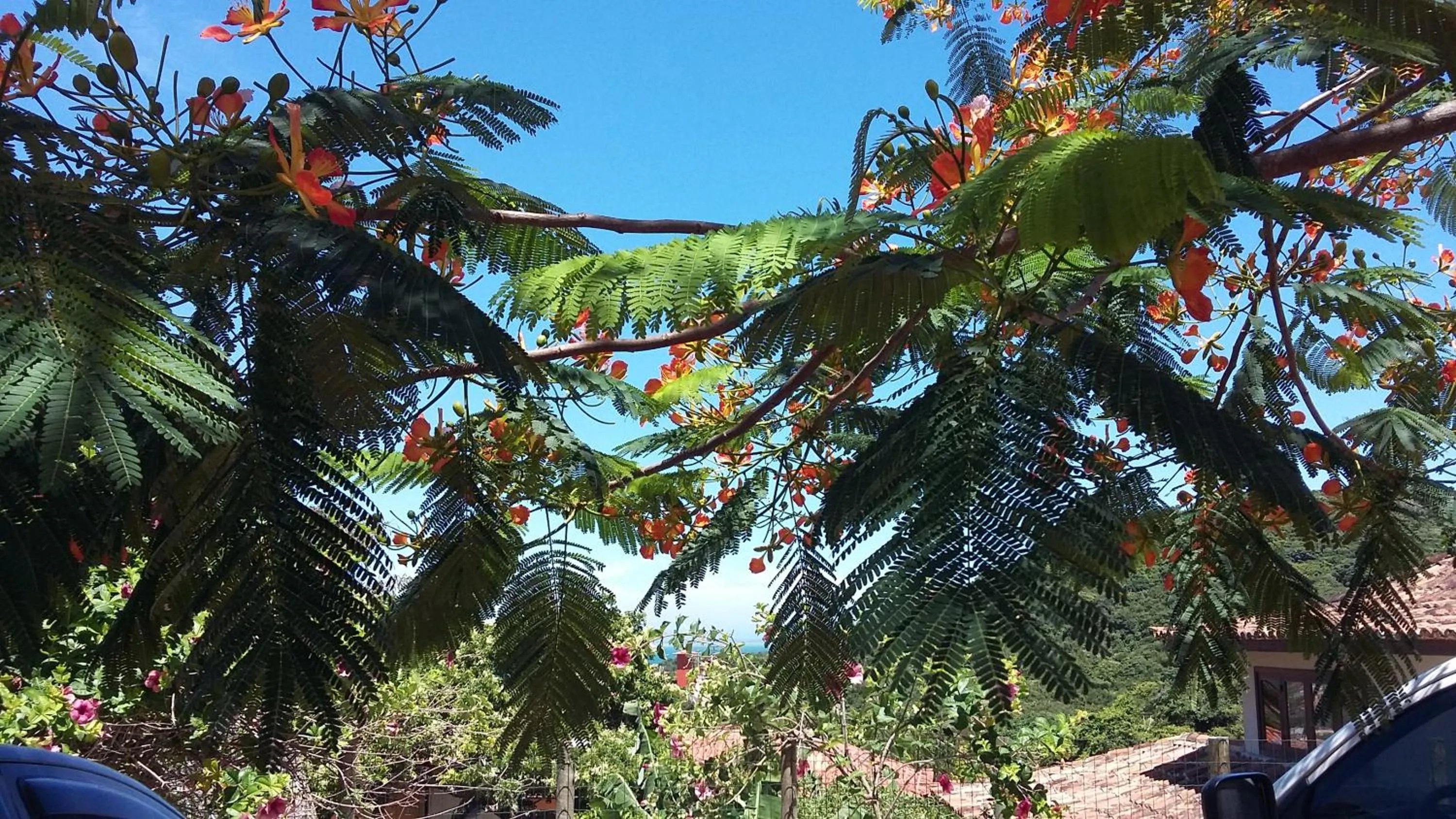 Natural landscape in Pousada Blue Ocean