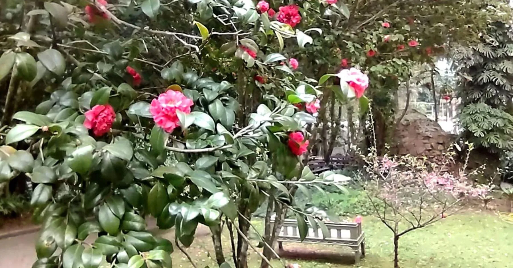 Garden in Vila Betânia