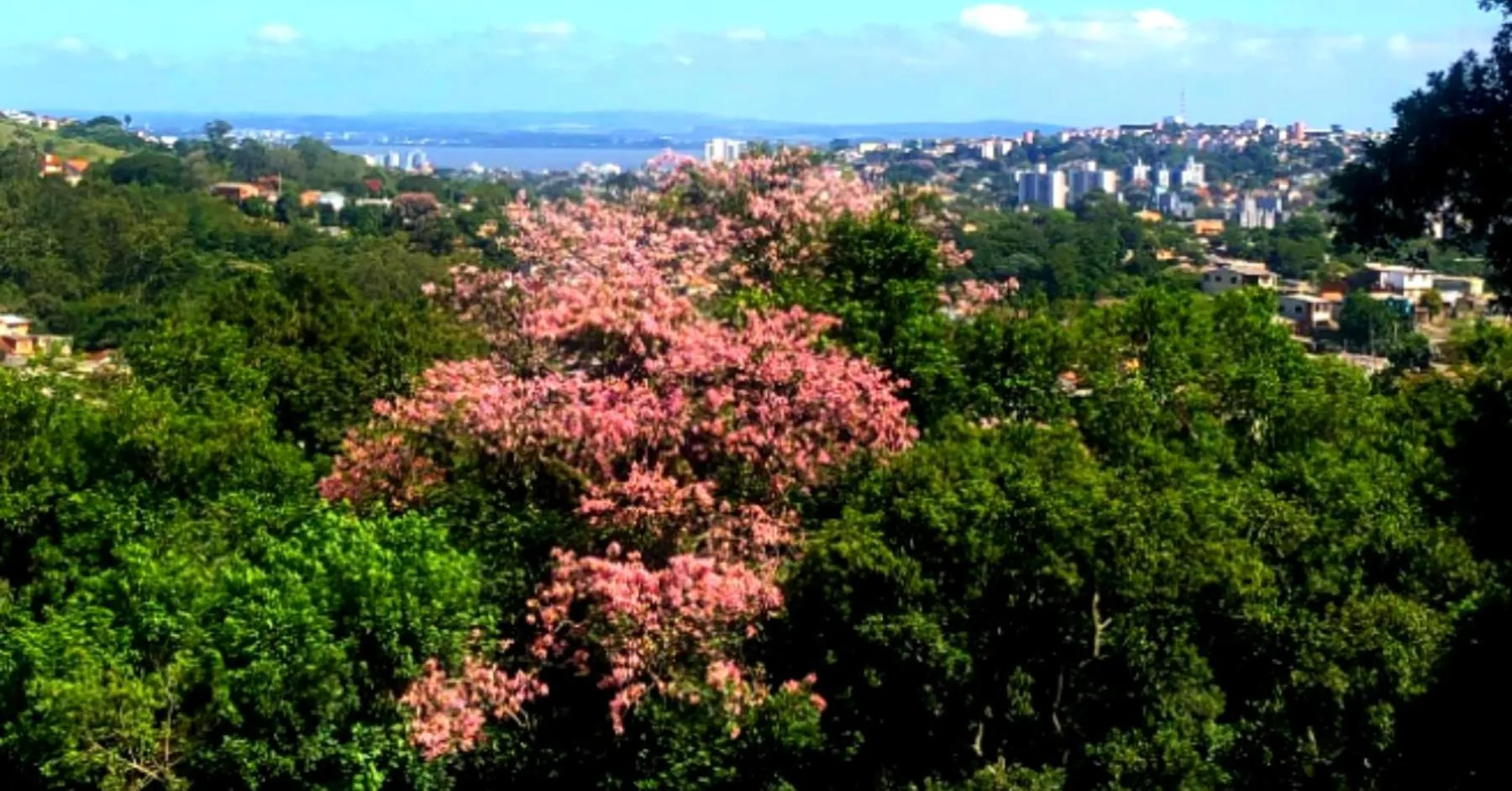 View (from property/room) in Vila Betânia
