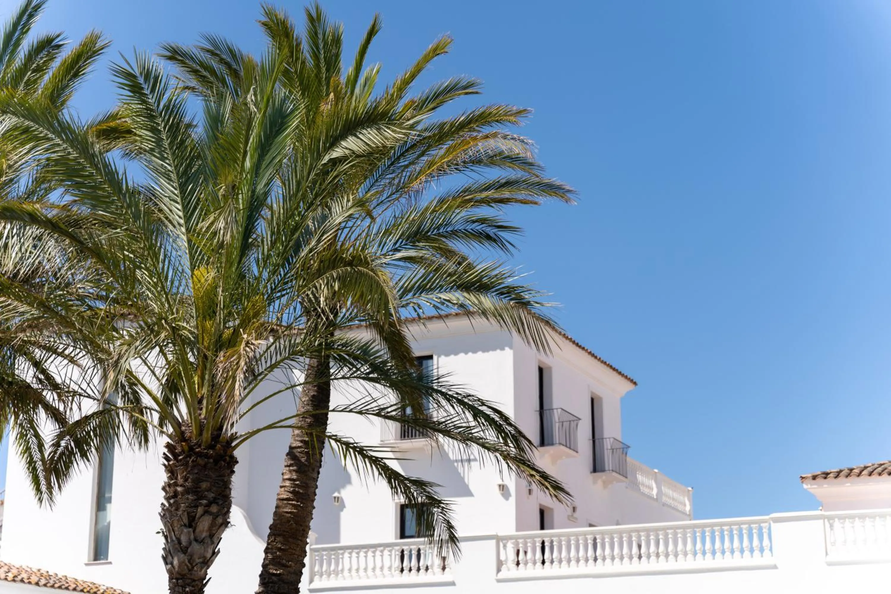 Property building in Phi Hotel Sighientu