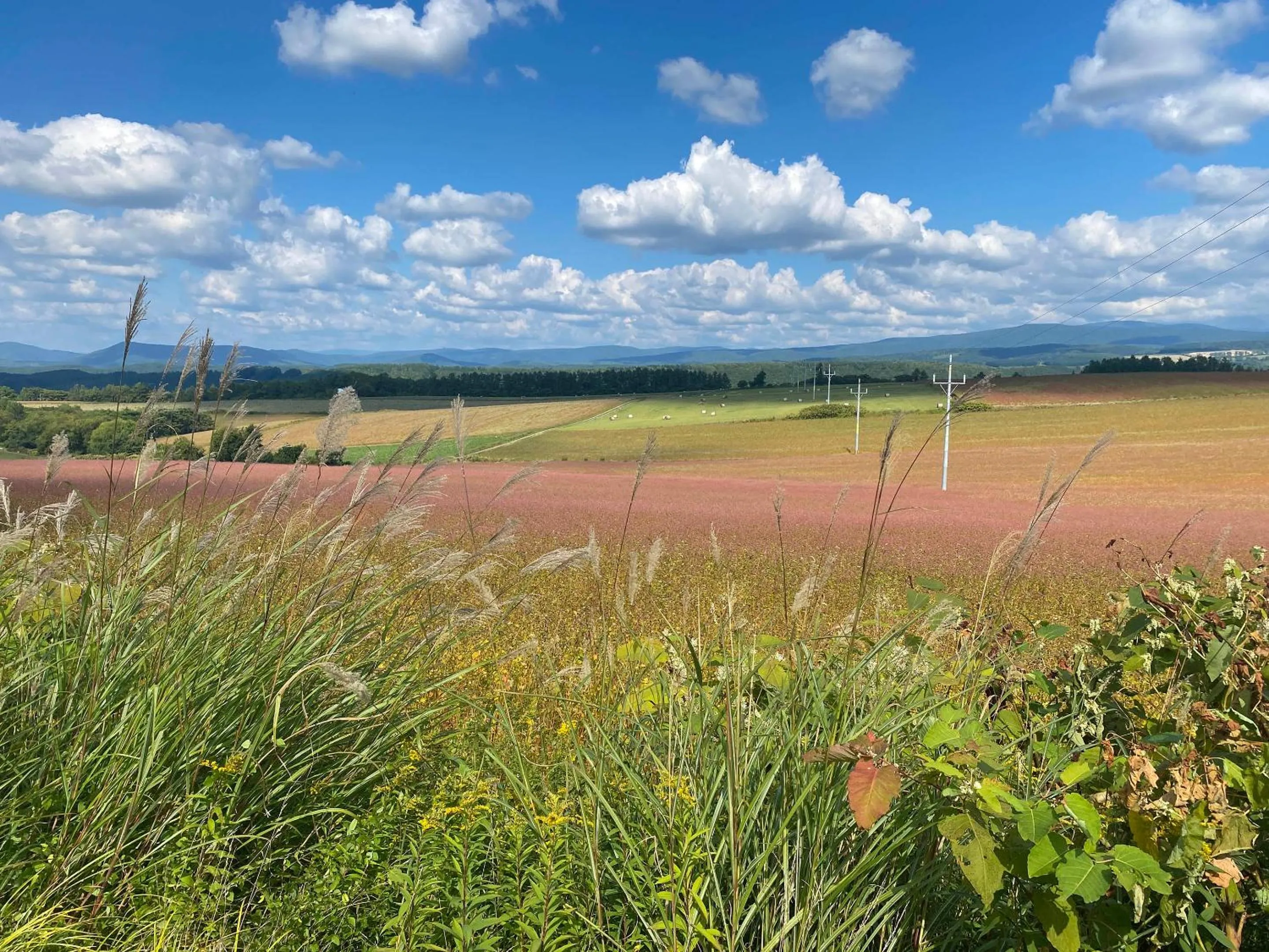 Nearby landmark in RONENAI BASE