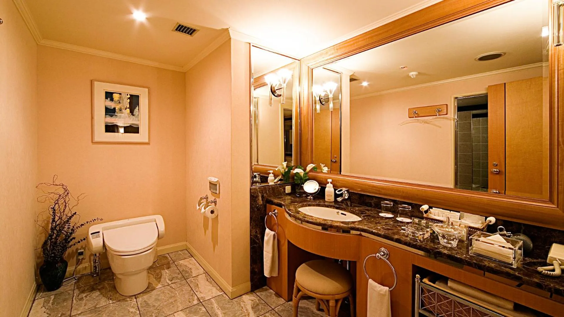 Toilet, Bathroom in Hotel Nikko Kochi Asahi Royal