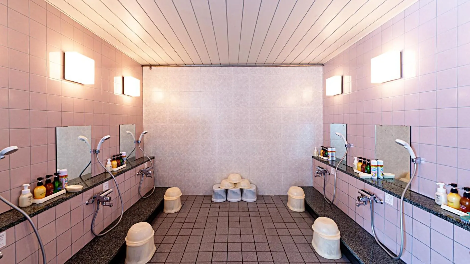 Public Bath, Bathroom in Hotel Nikko Kochi Asahi Royal