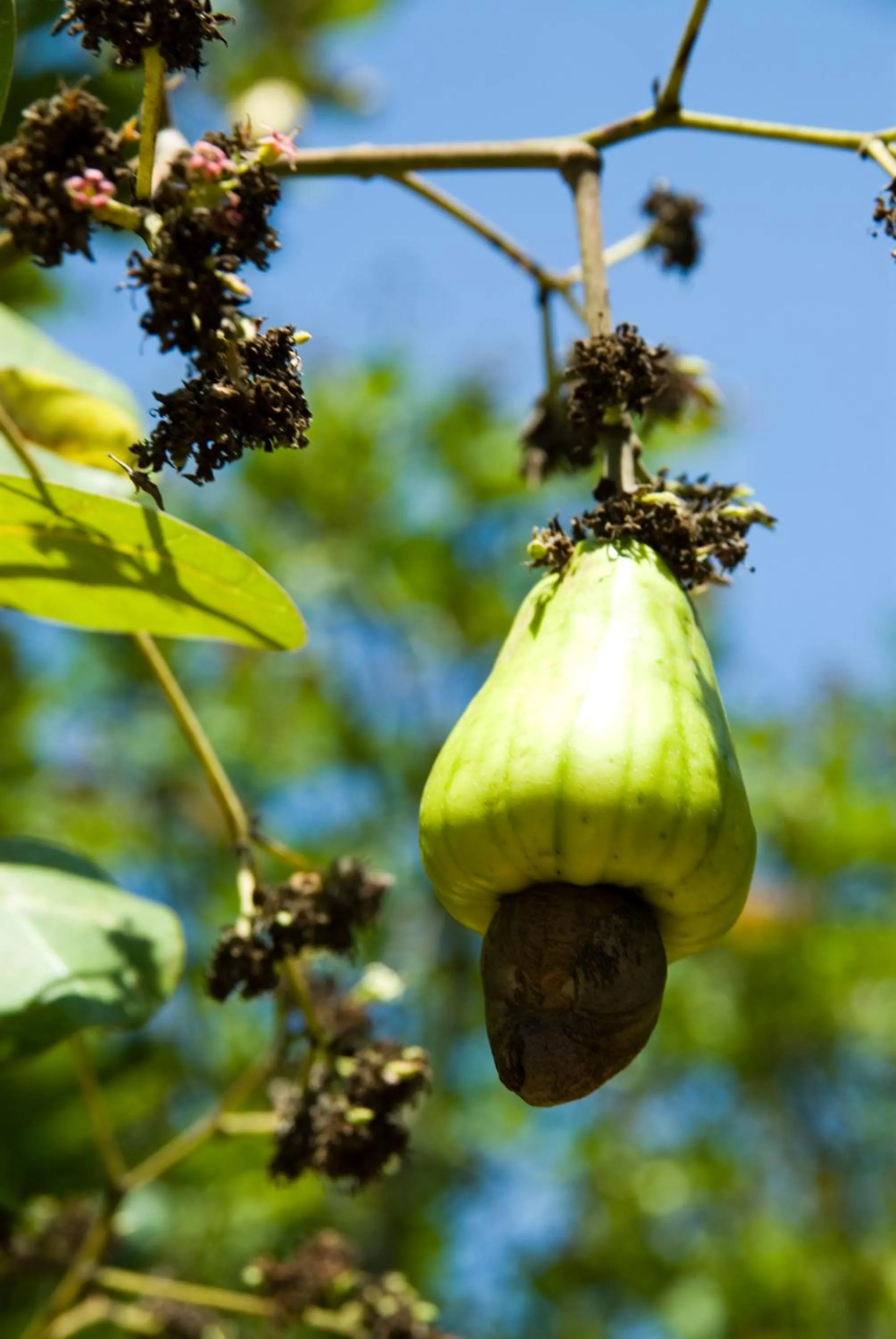 Bird's eye view in Frog Beach House