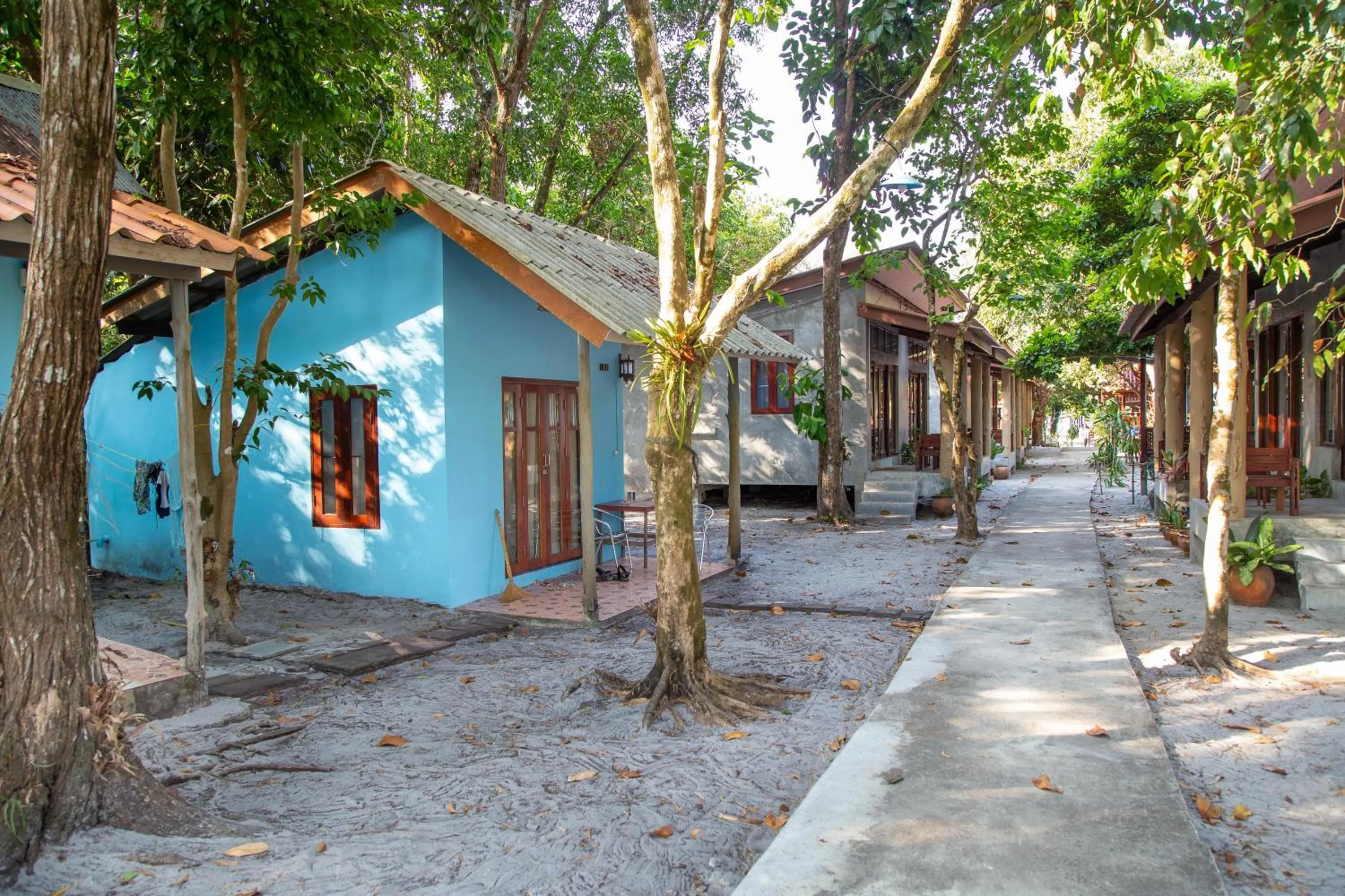 Photo of the whole room in Frog Beach House