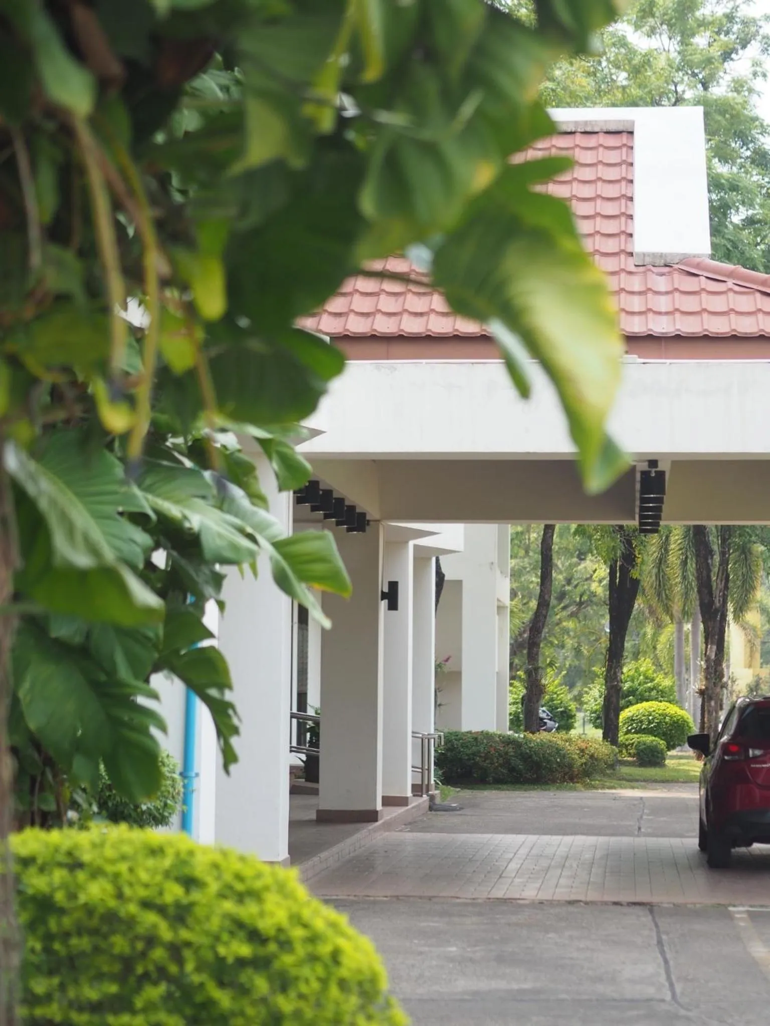 Property building in Phuphanplace Hotel