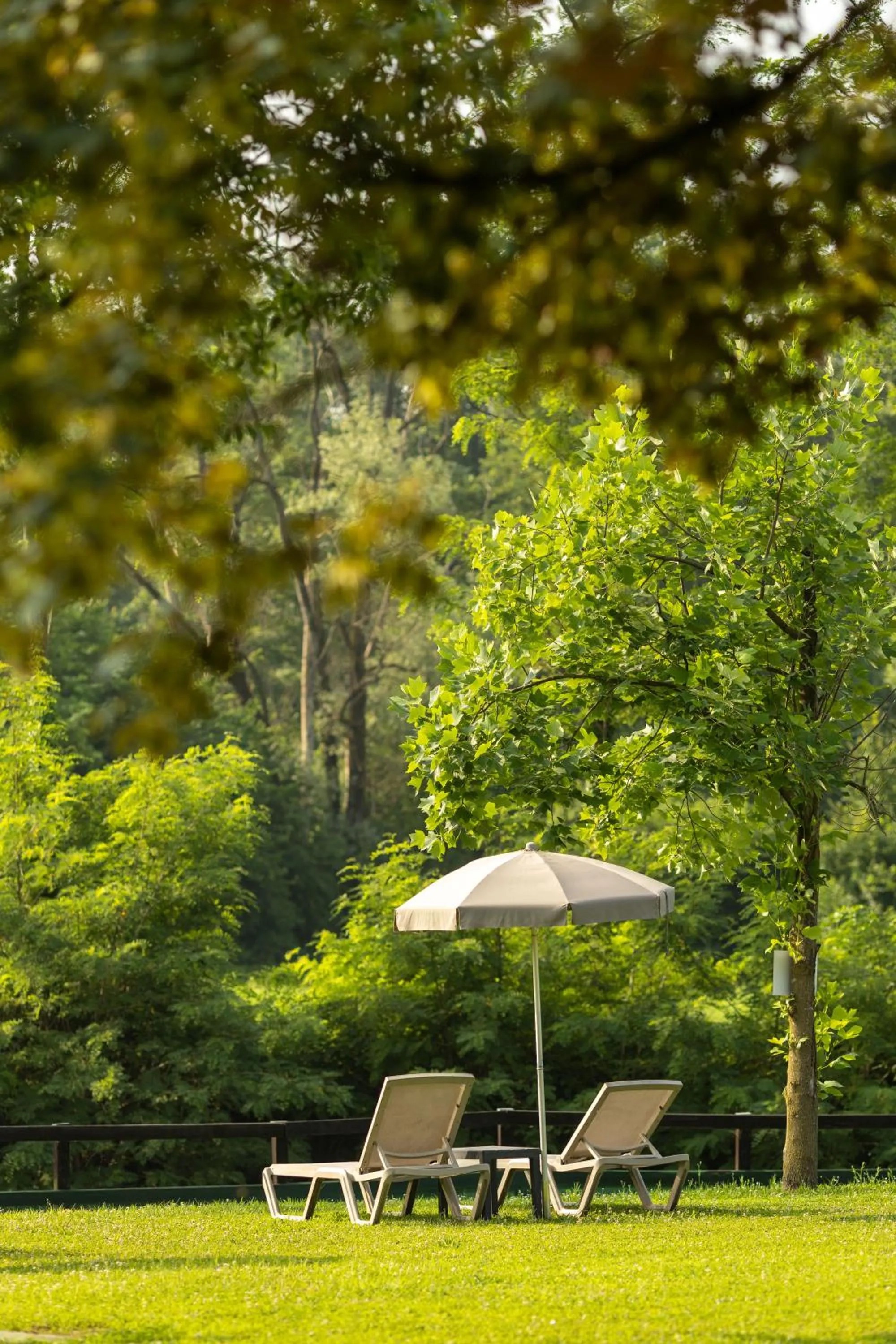 Garden in Hotel Il Corazziere