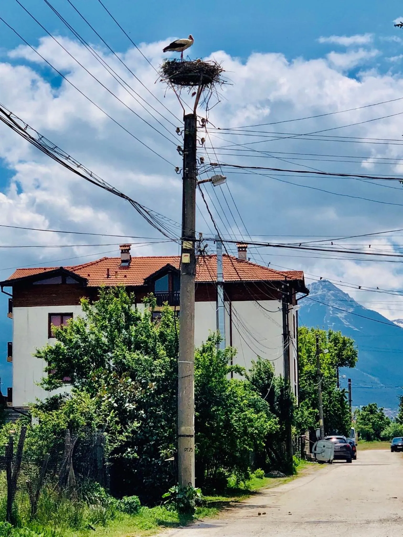 Property building in Family Hotel Carpe Diem