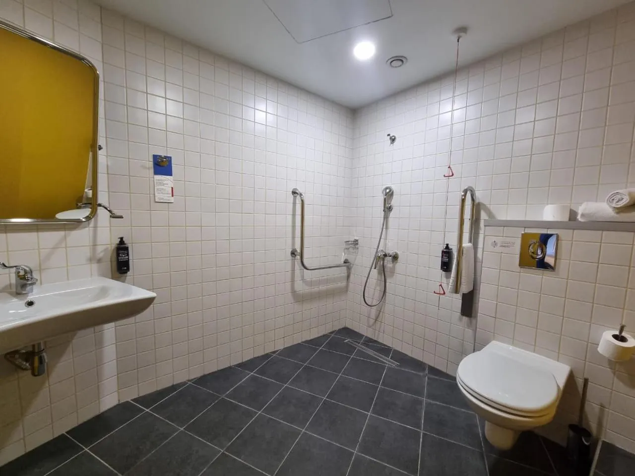 Bathroom in ibis budget Tbilisi Center