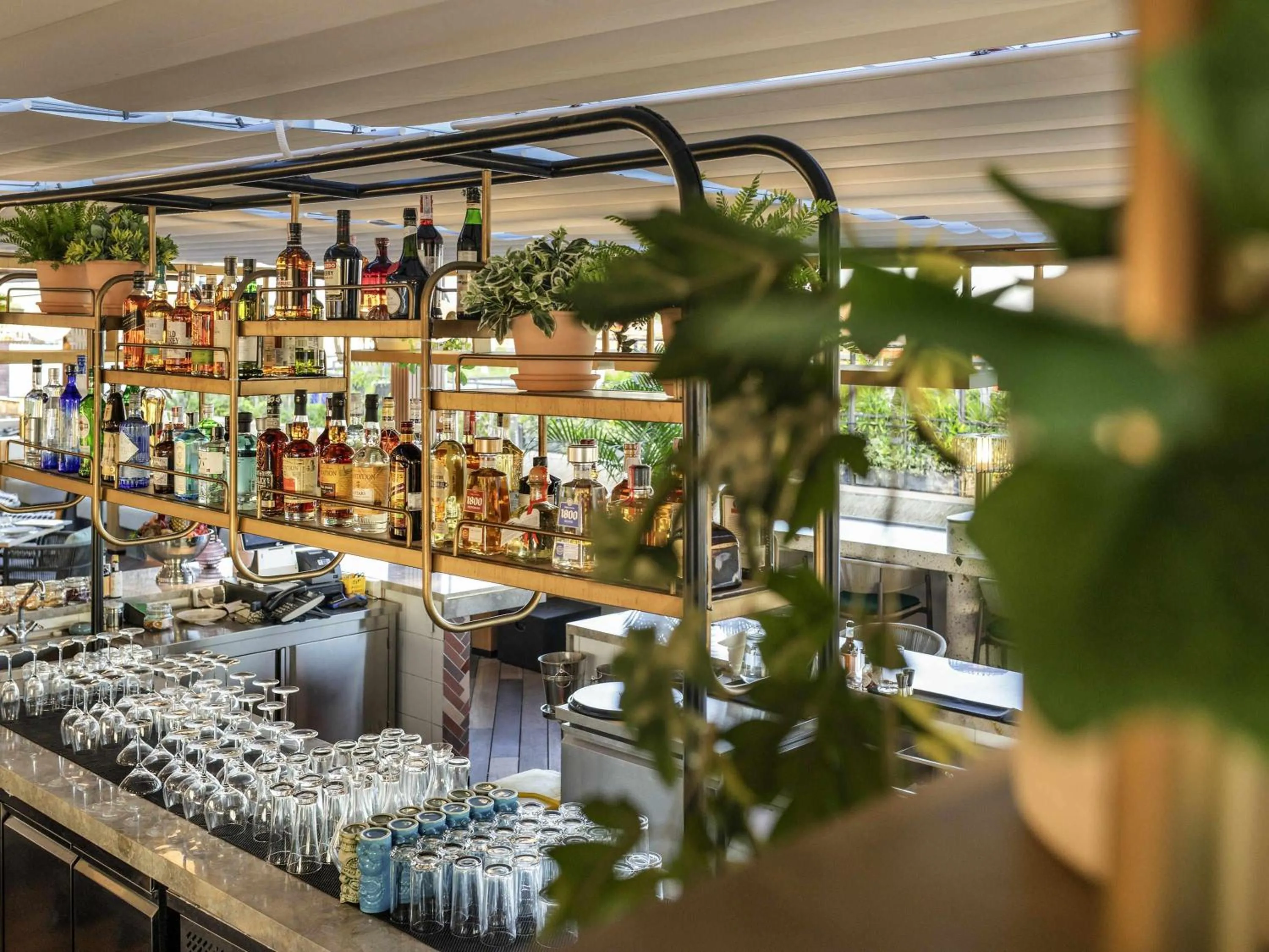 Restaurant/places to eat in Tribe Bali Kuta Beach