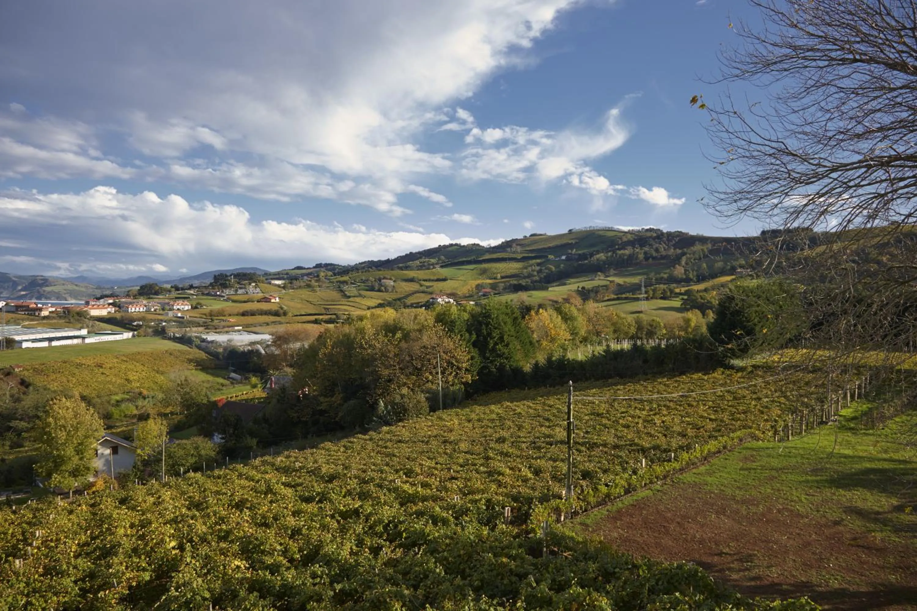 View (from property/room) in Hotel San Prudentzio