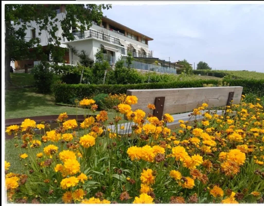Garden in Hotel San Prudentzio