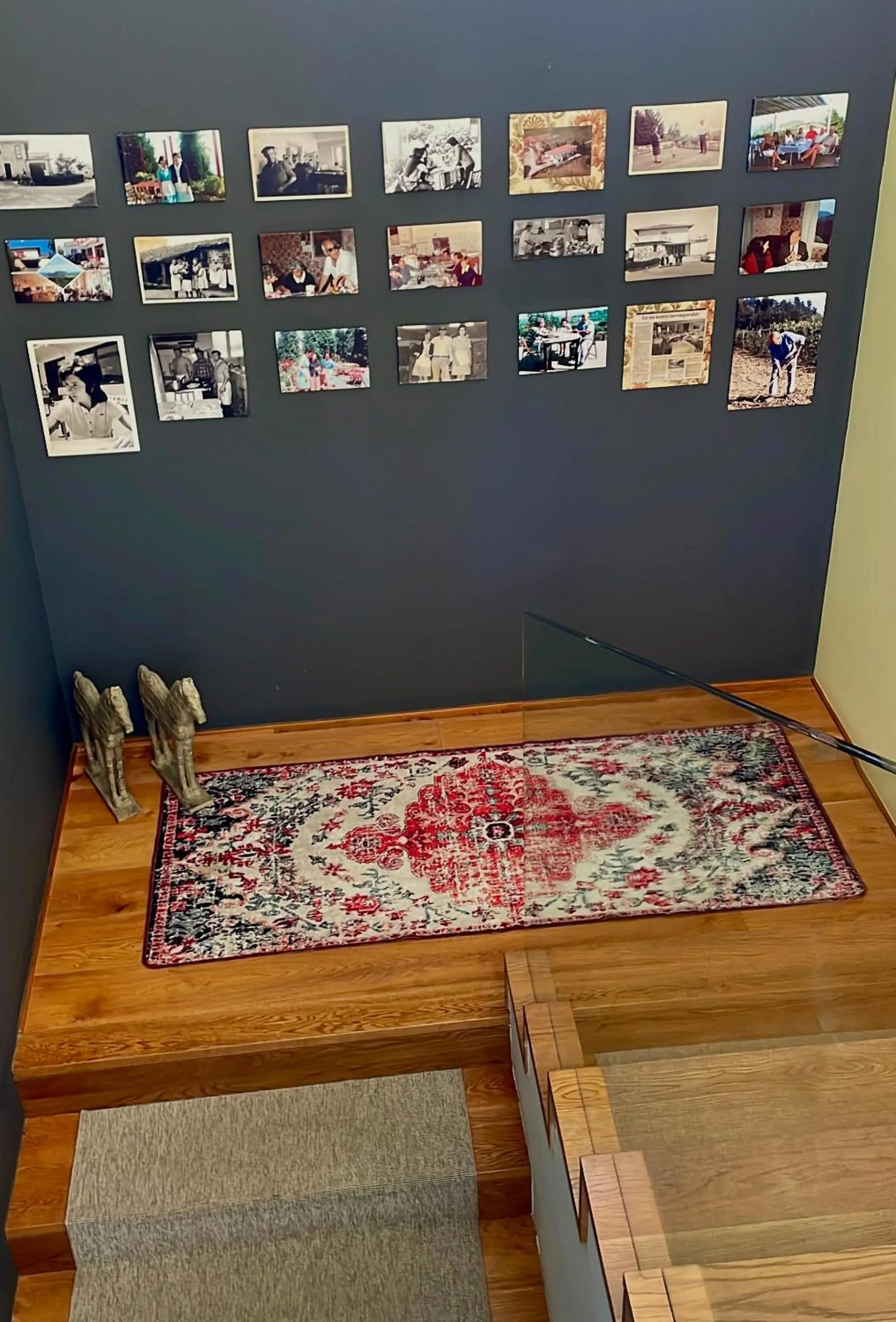 Area and facilities in Hotel San Prudentzio