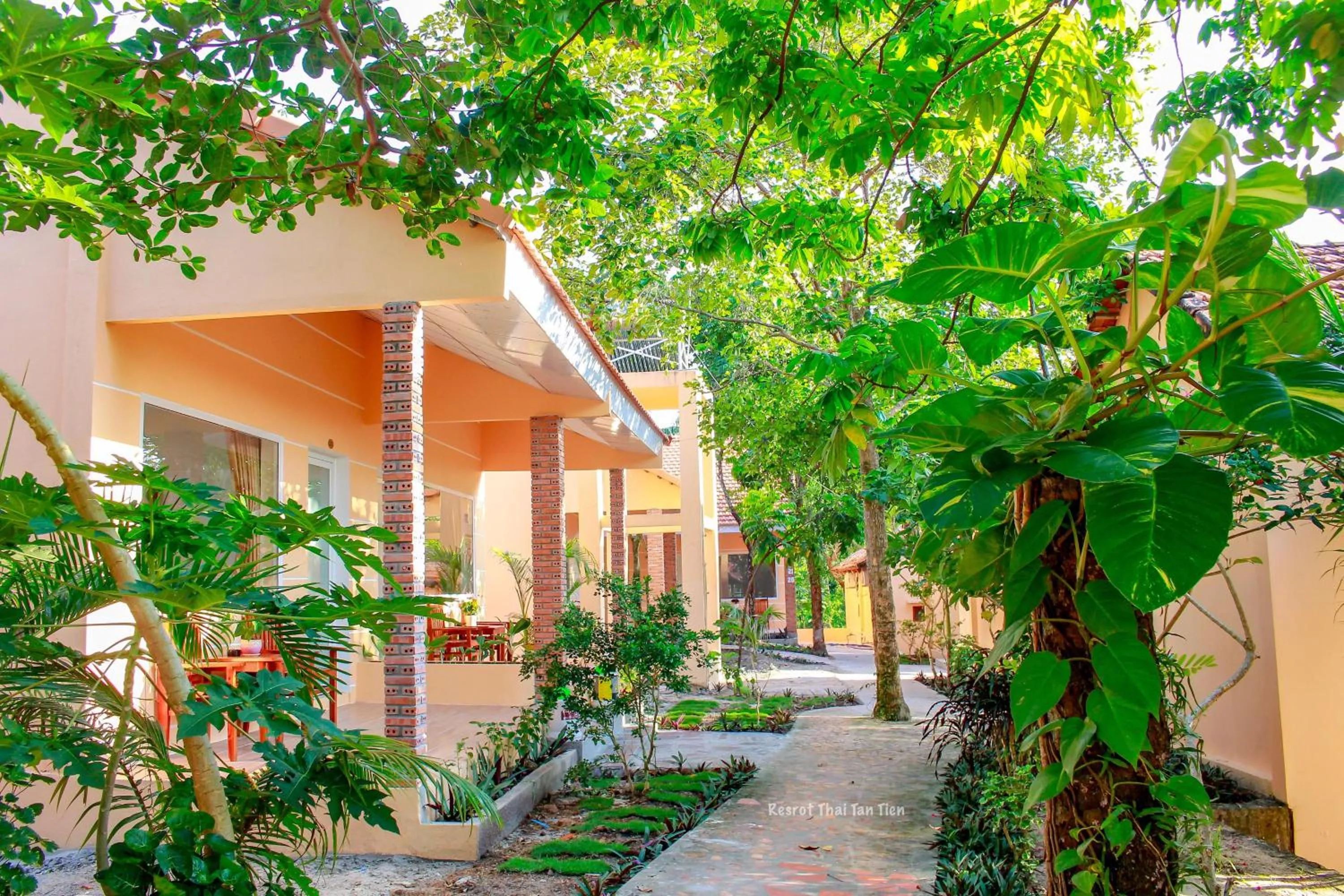 Neighbourhood in Thai Tan Tien Hotel