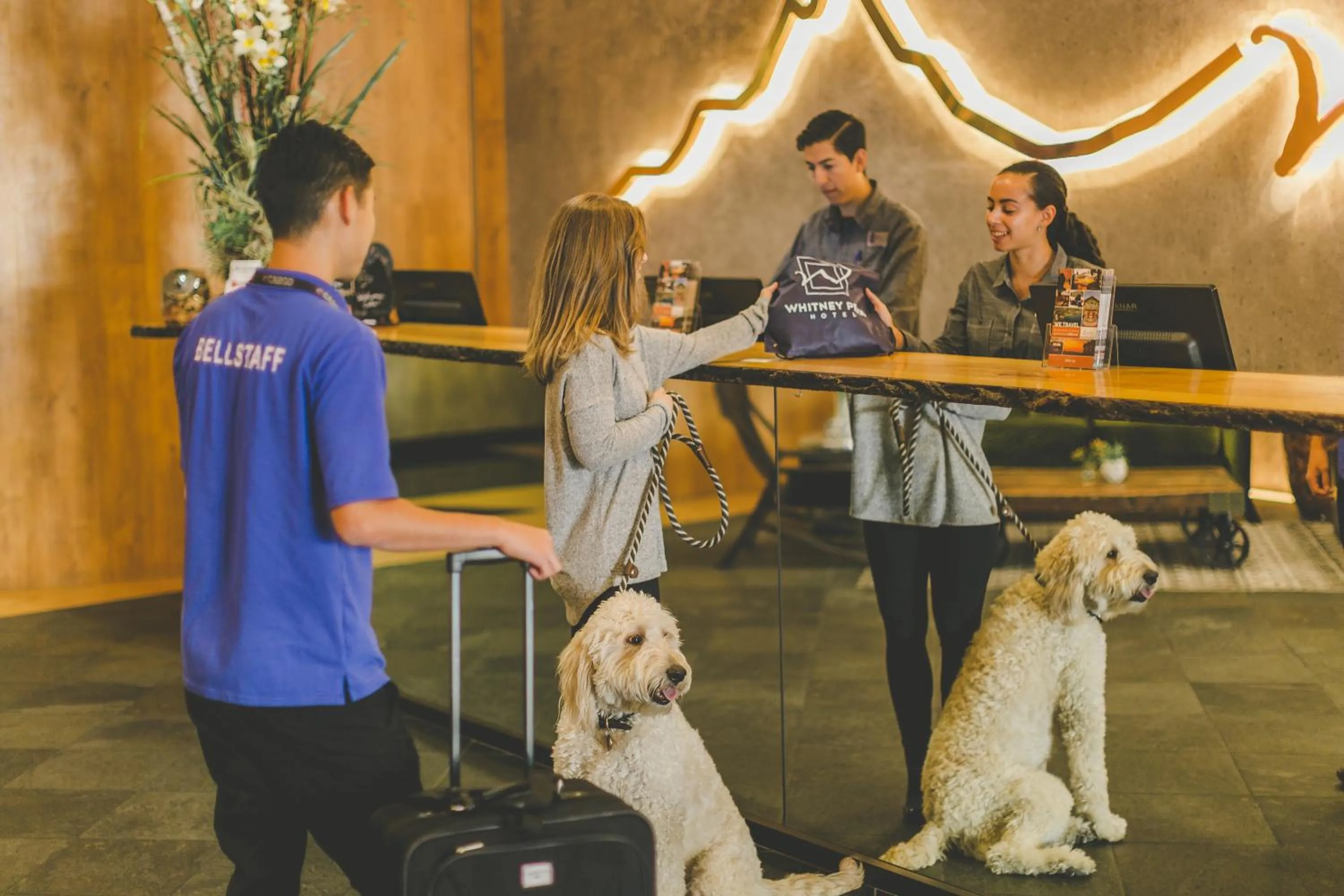 Lobby or reception in Whitney Peak Hotel Reno, Tapestry Collection by Hilton