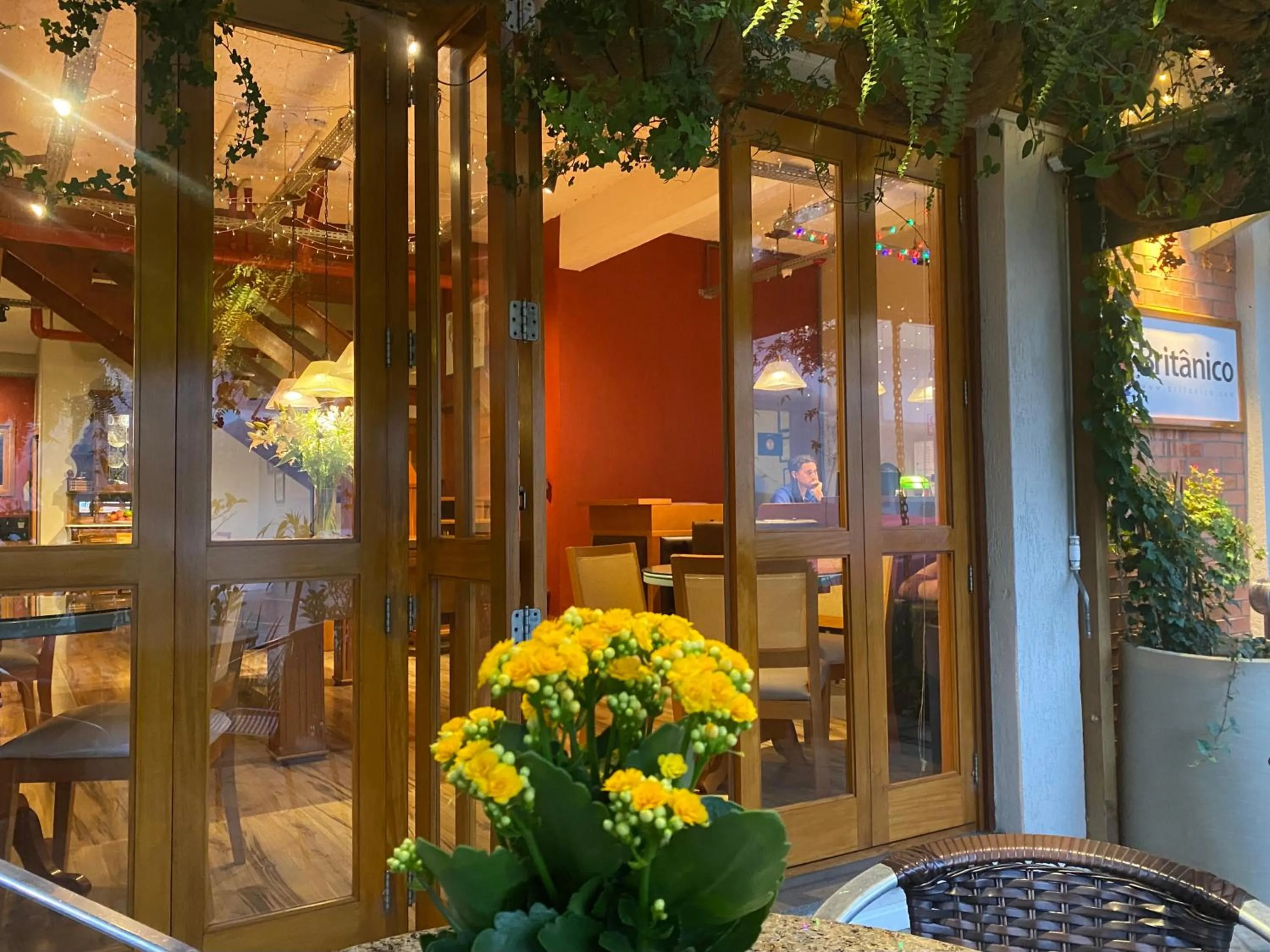 Garden in Hotel Boutique Britanico