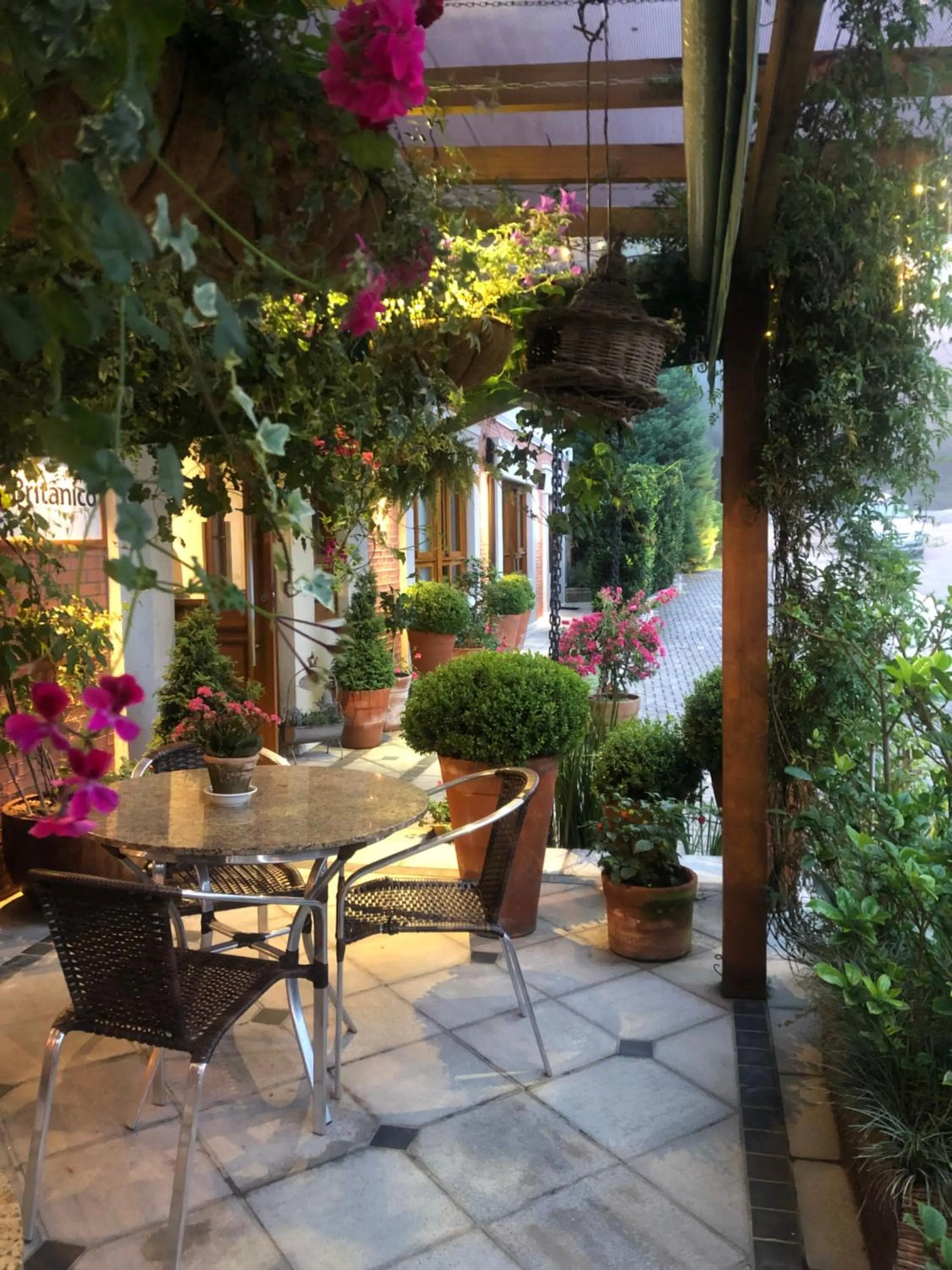 Patio in Hotel Boutique Britanico