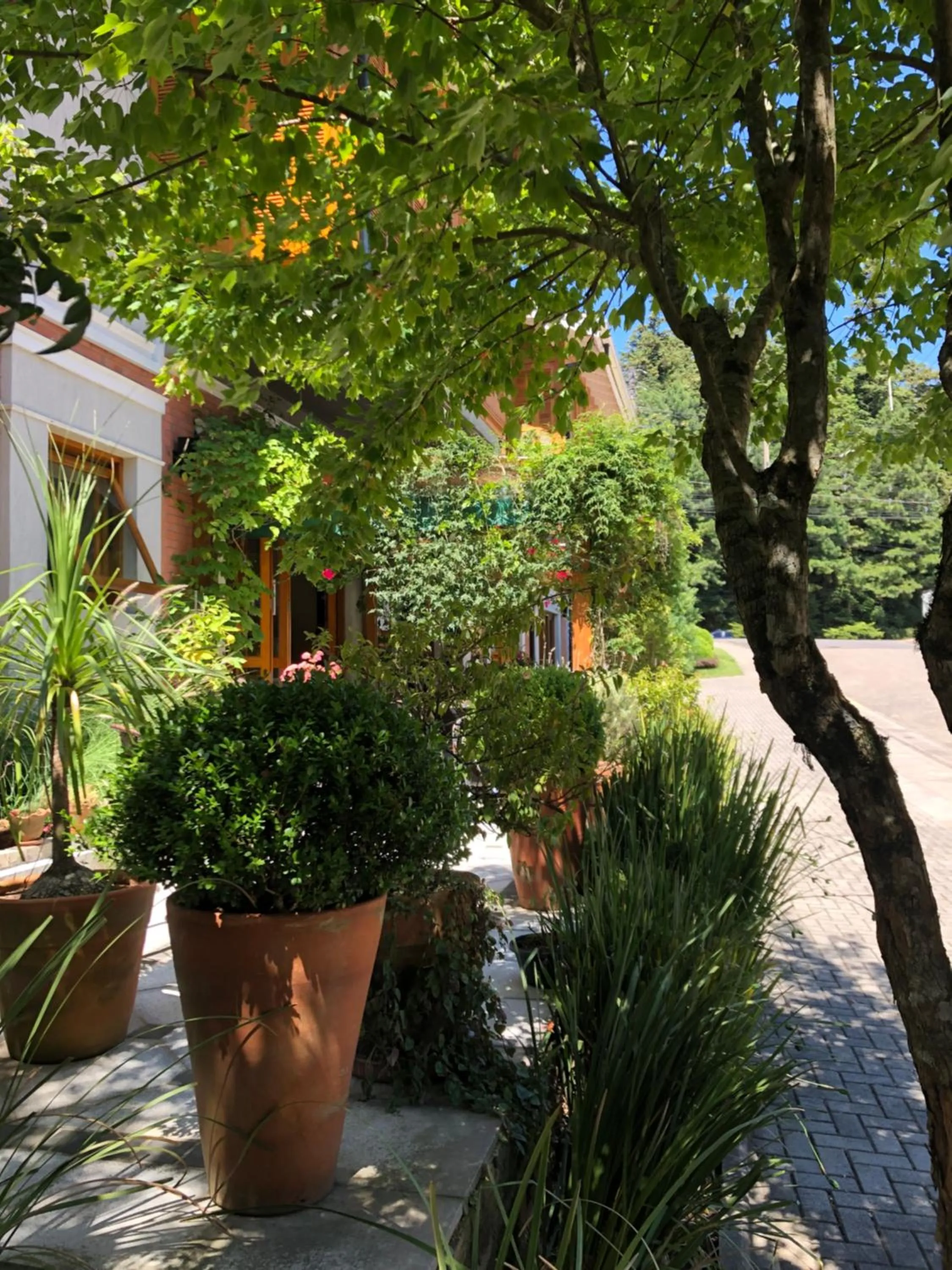 Property building in Hotel Boutique Britanico