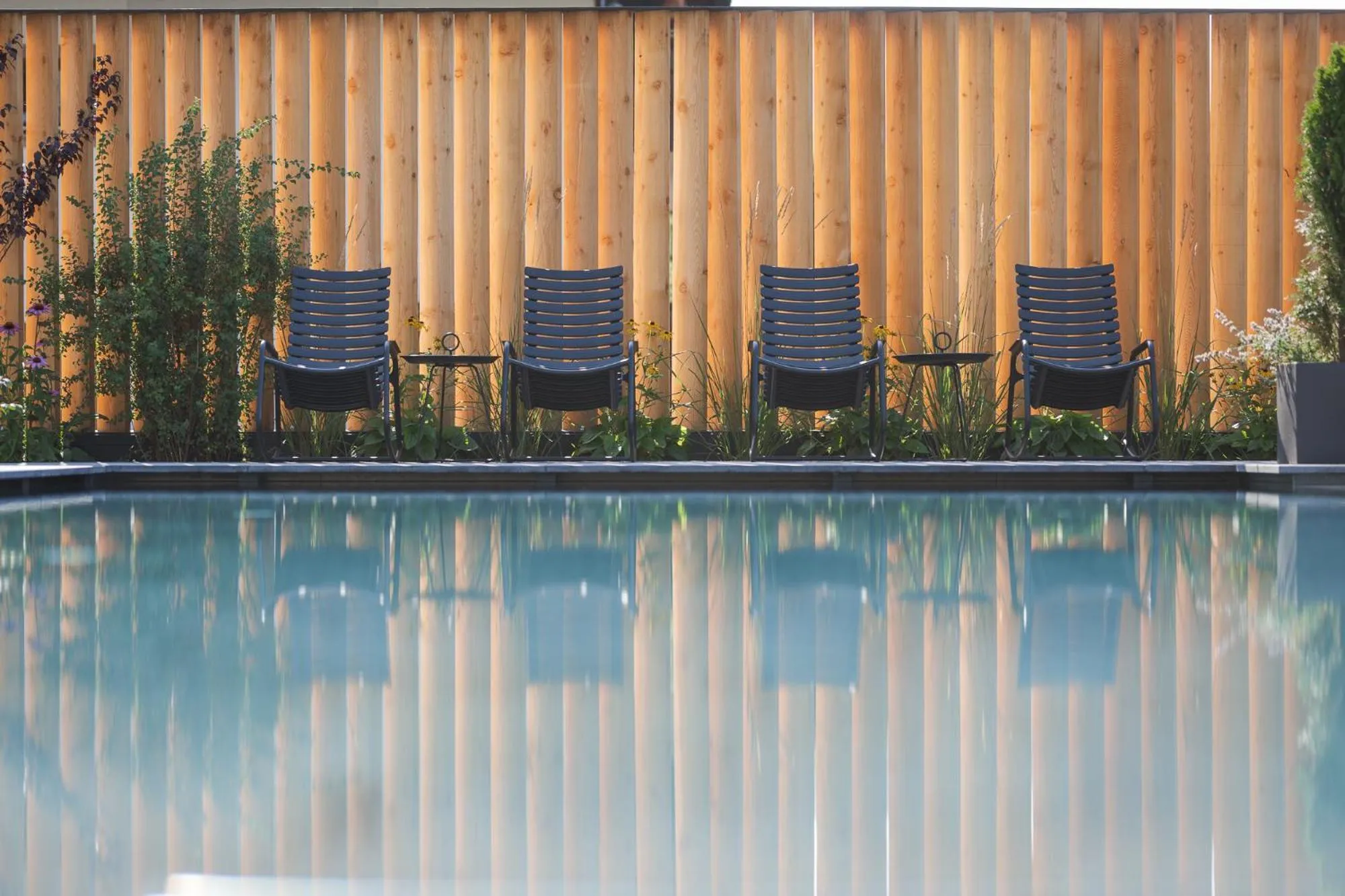 Swimming pool in Hotel Salten