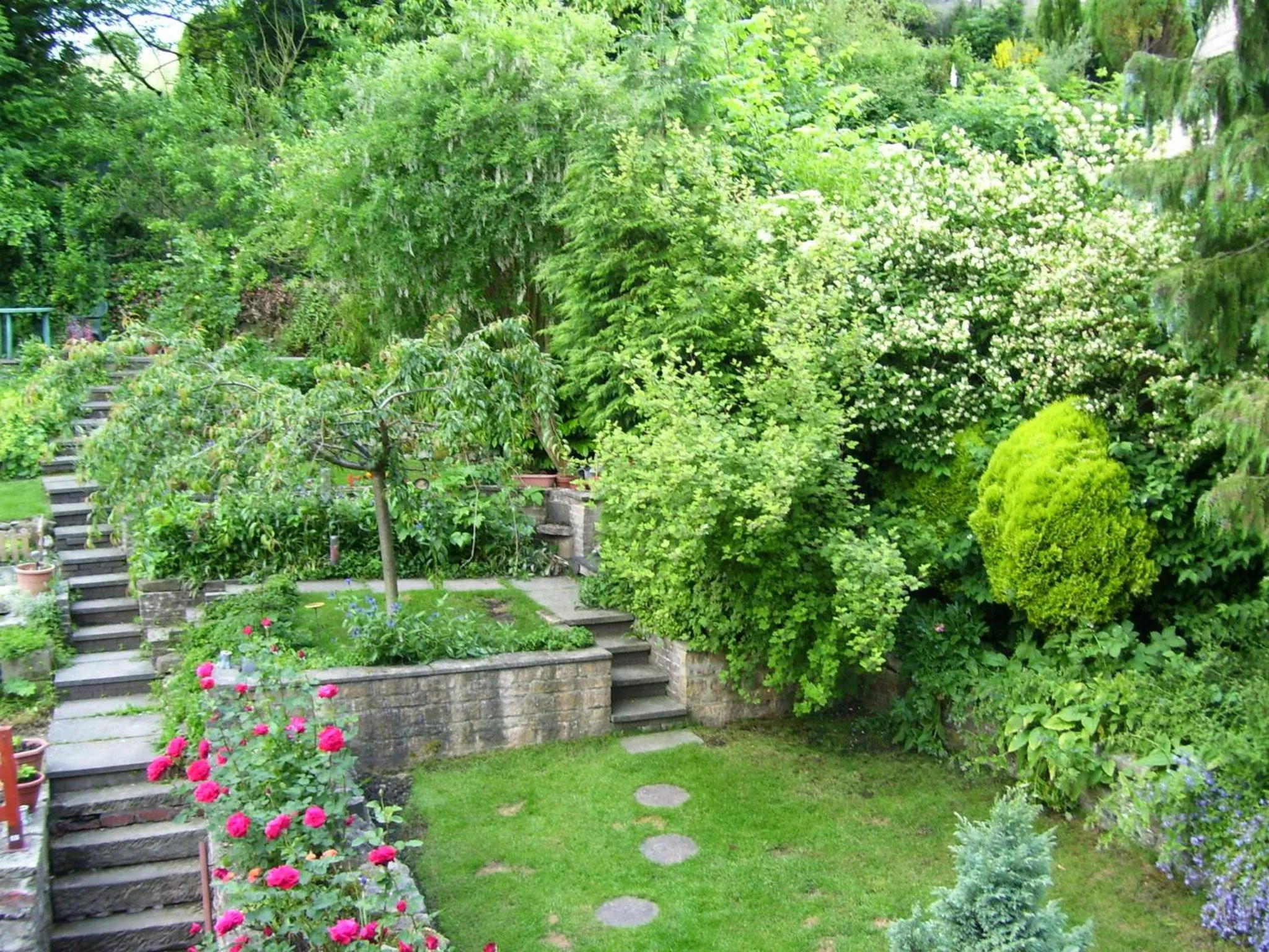 Garden in Ellen House Bed and Breakfast