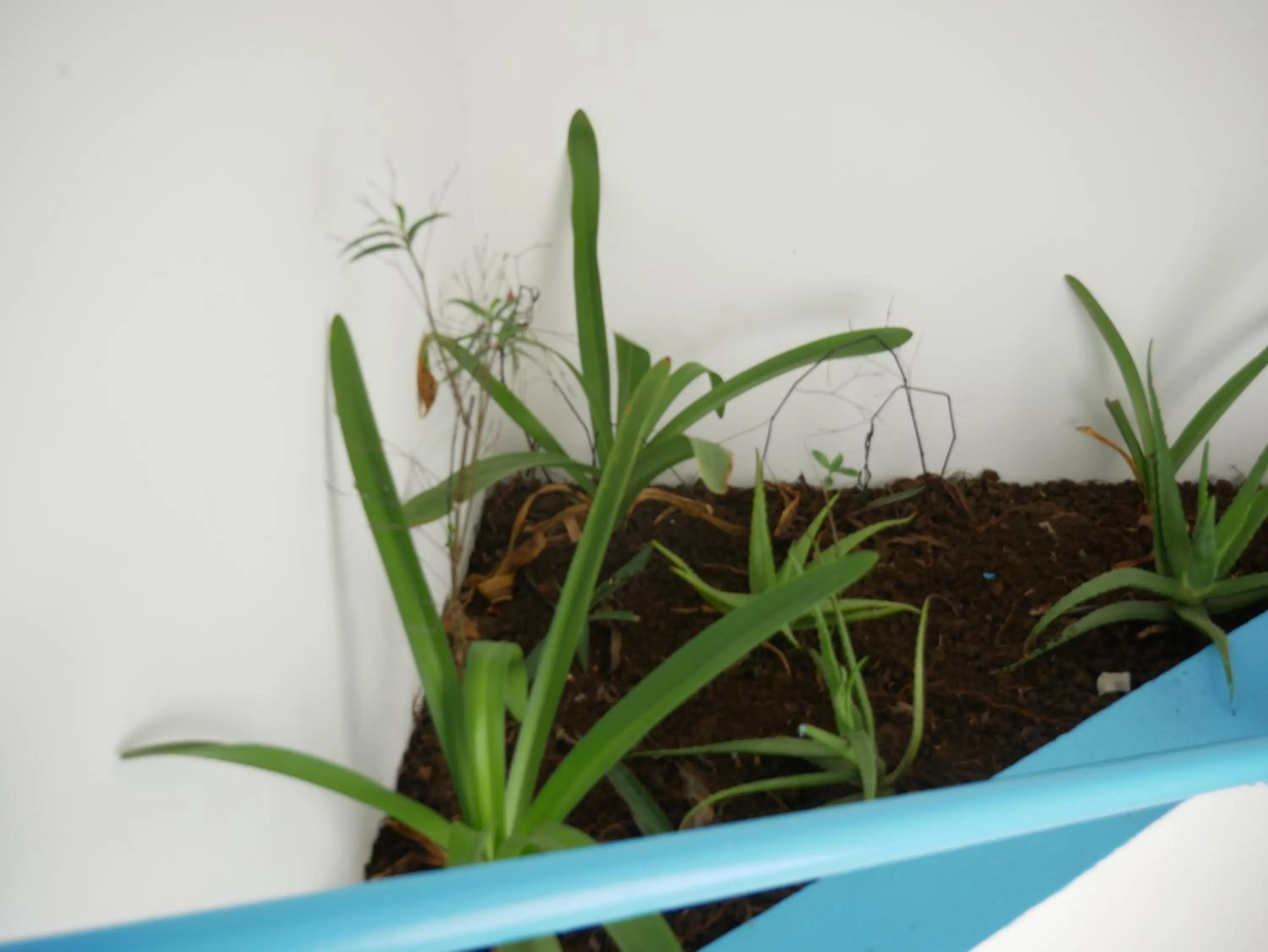 Property building in Costarena Beach Hotel