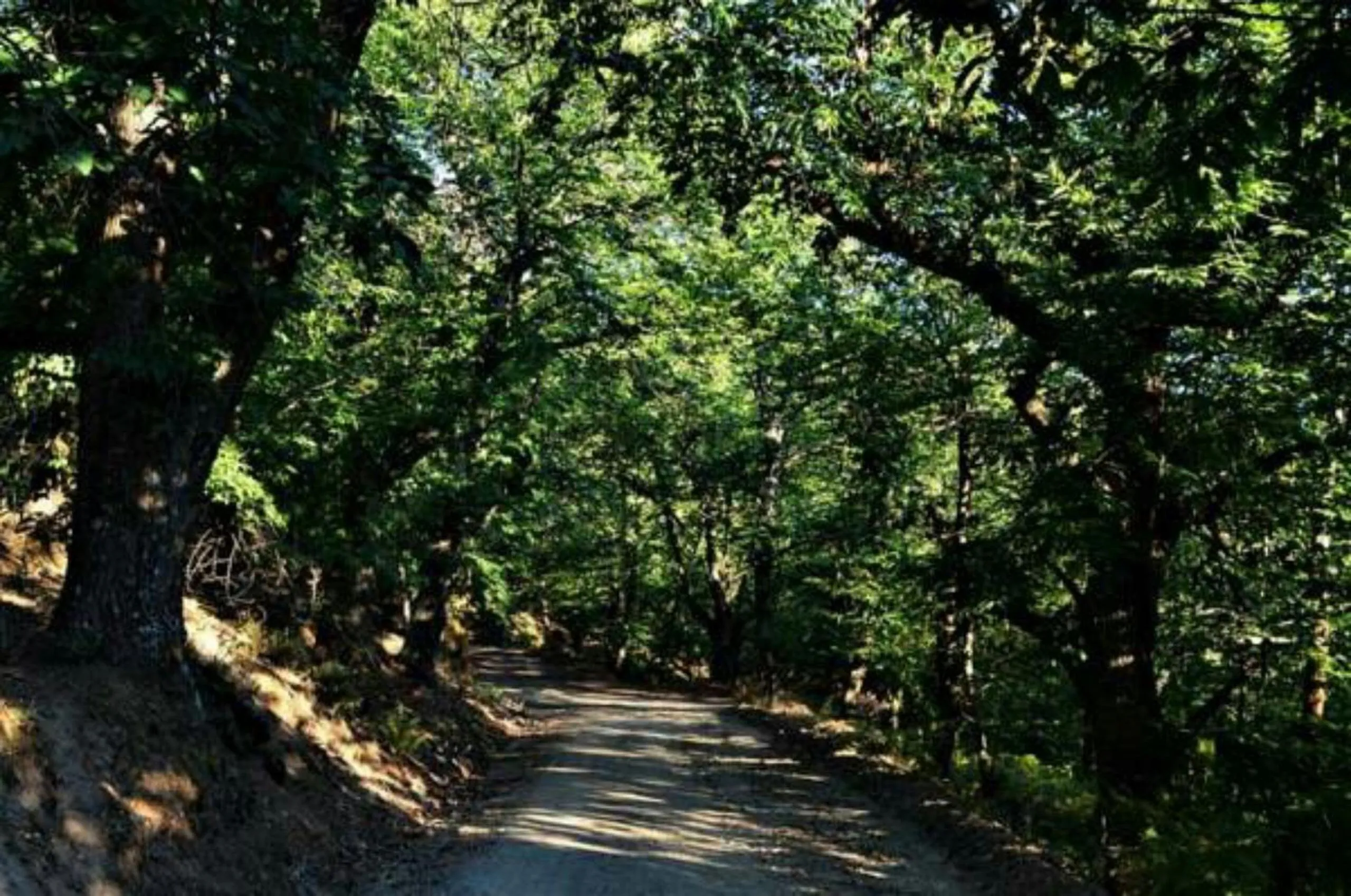 Hiking in Ξενώνας Ουρανογείτων
