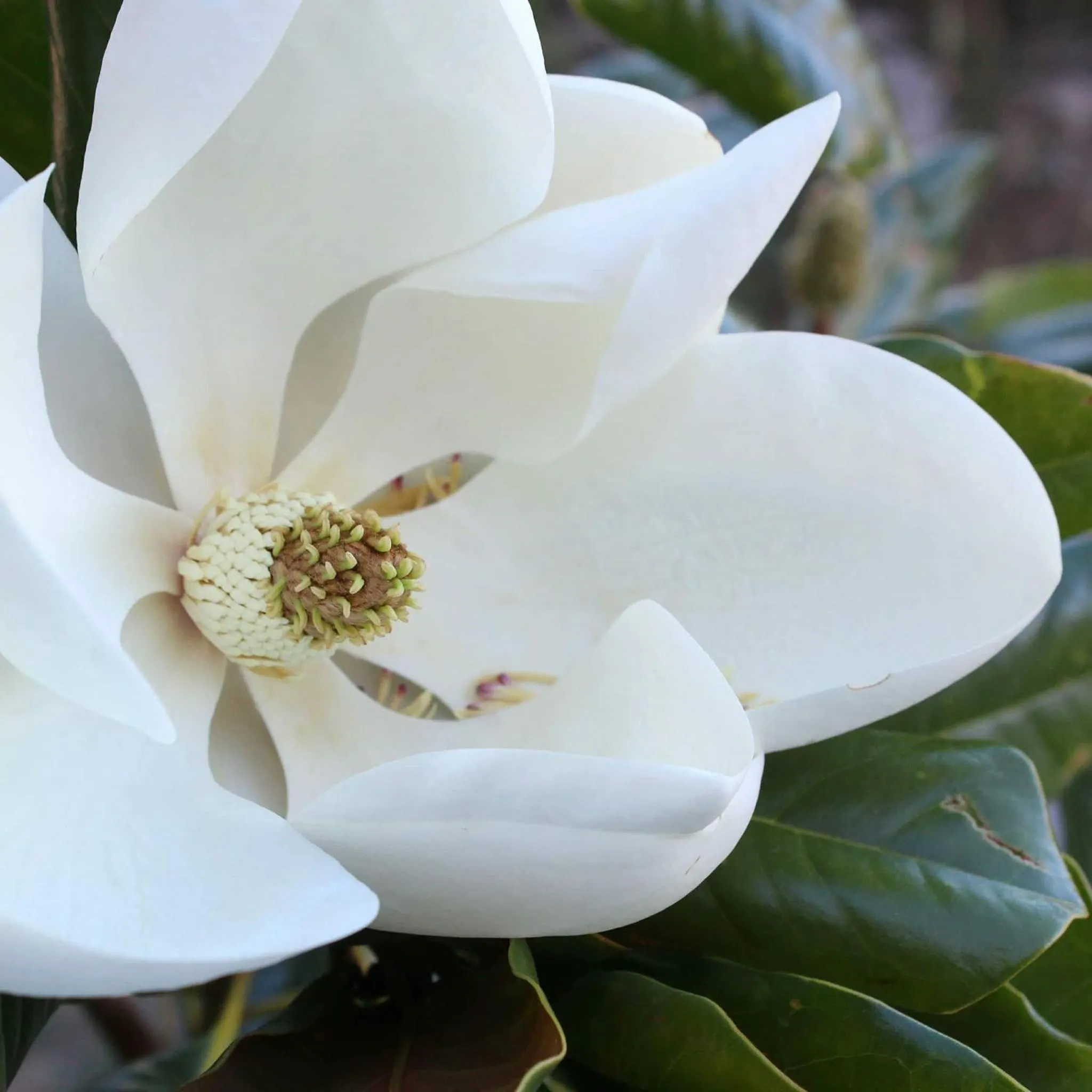 Property building in Ξενώνας Ουρανογείτων