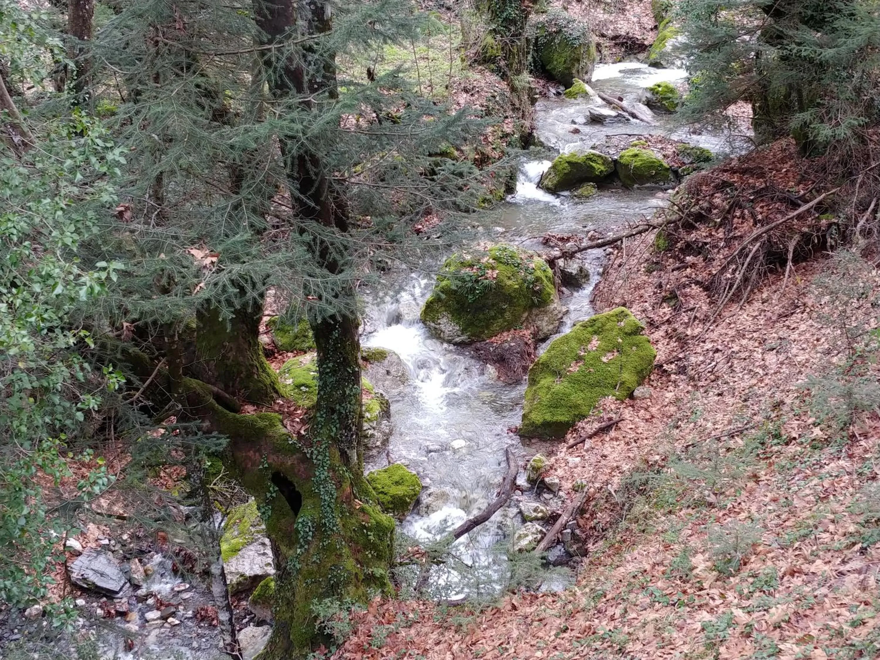 Natural landscape in Ξενώνας Ουρανογείτων