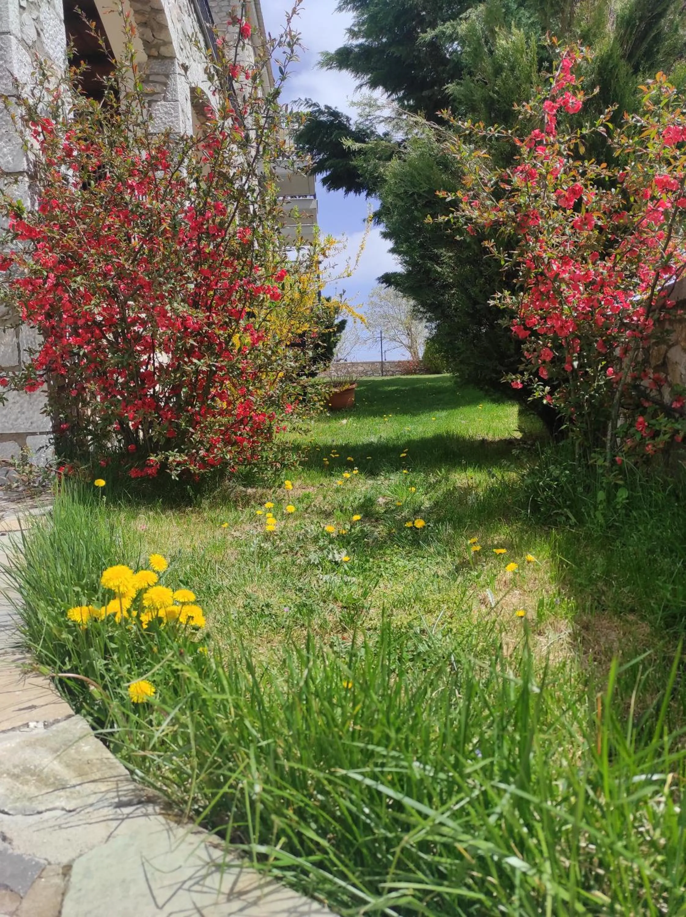 Garden in Ξενώνας Ουρανογείτων