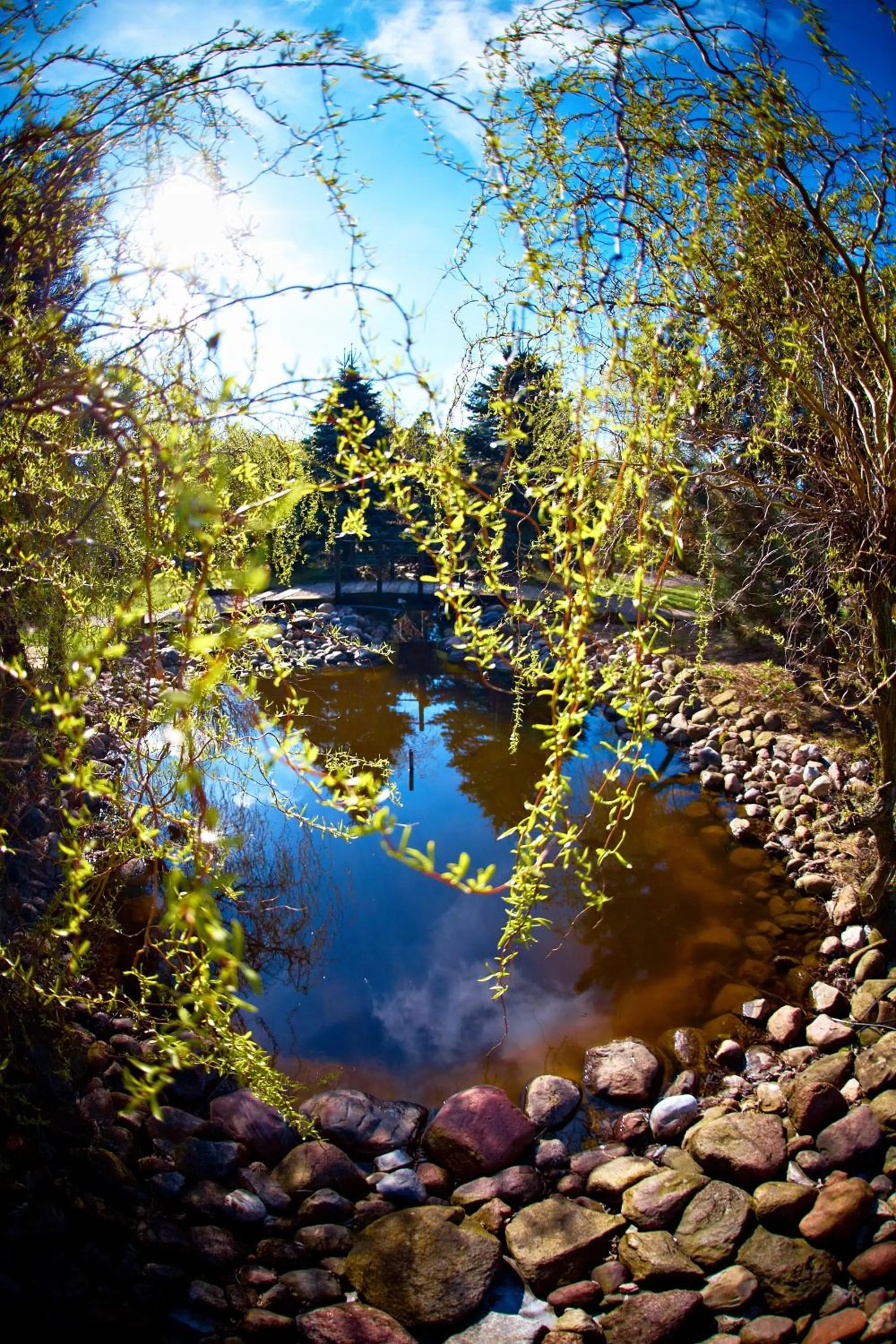 Restaurant/places to eat in Hotel Biesiada