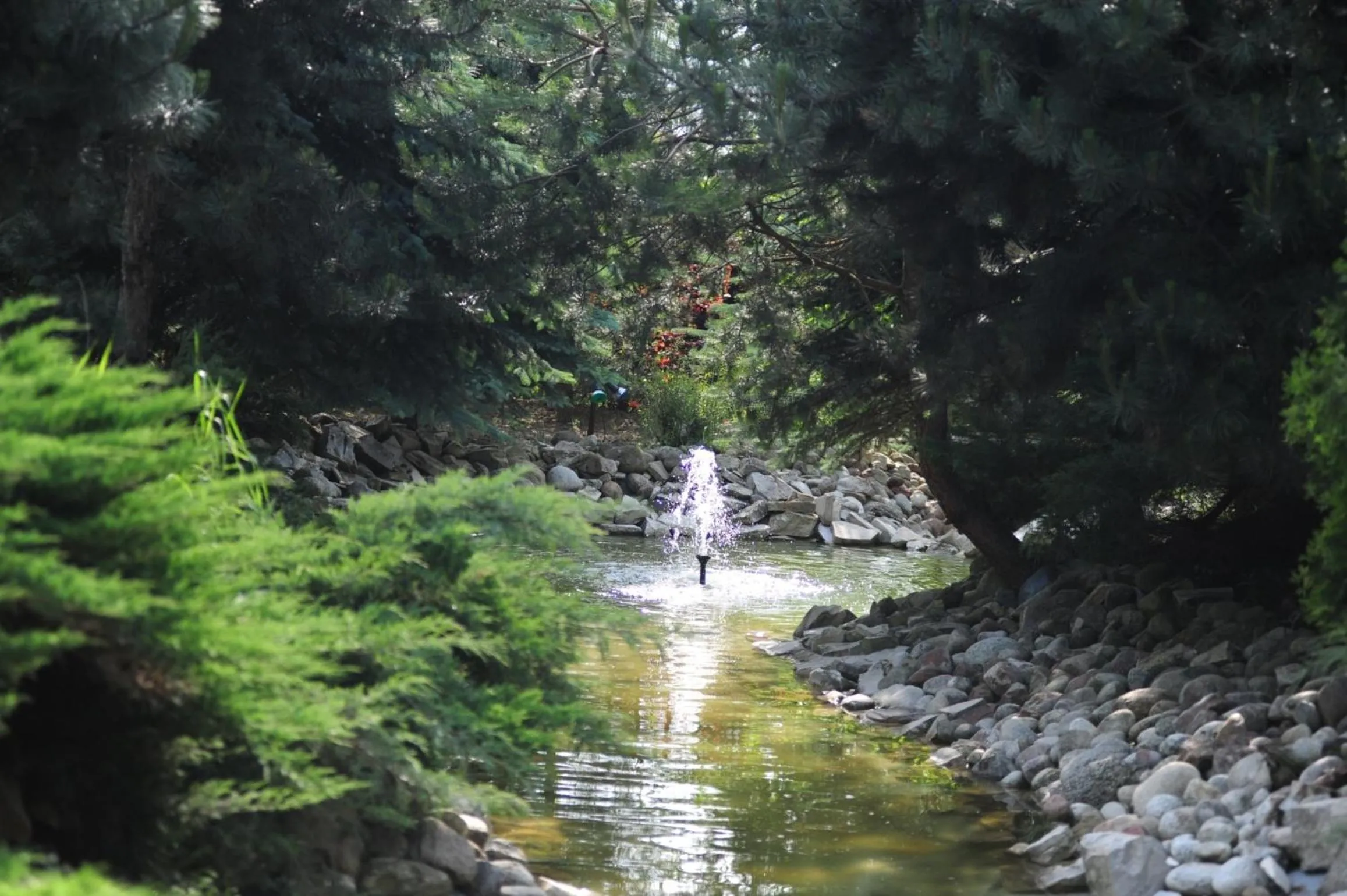 Garden in Hotel Biesiada