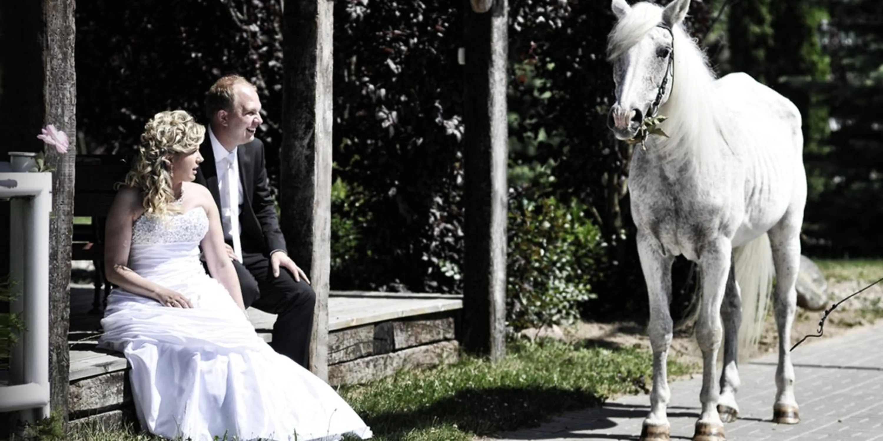Garden in Hotel Biesiada