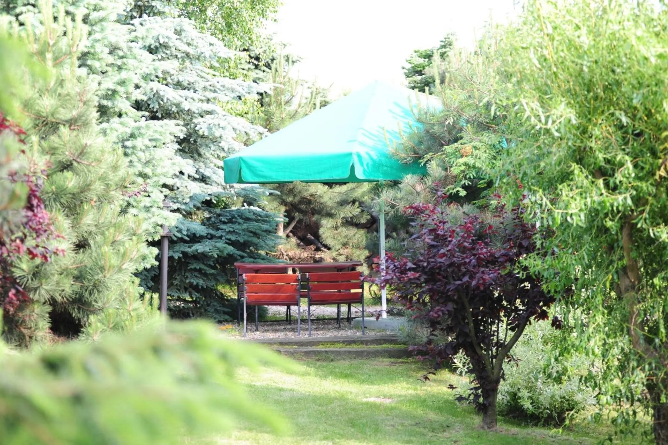 Garden in Hotel Biesiada