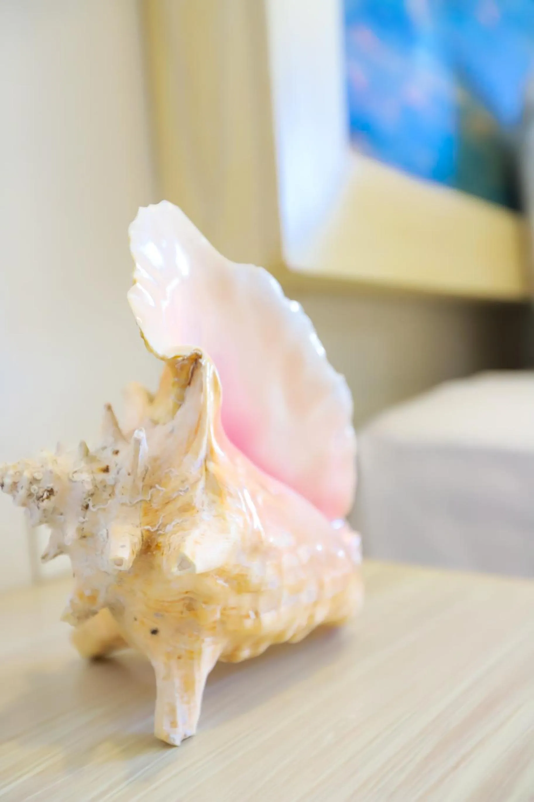 Decorative detail in Hotel Inkanto