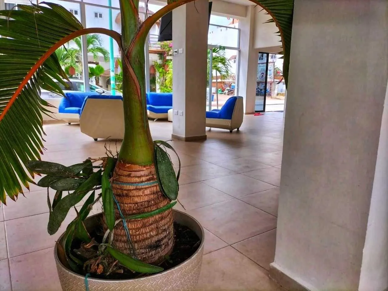 Lobby or reception in Hotel Inkanto