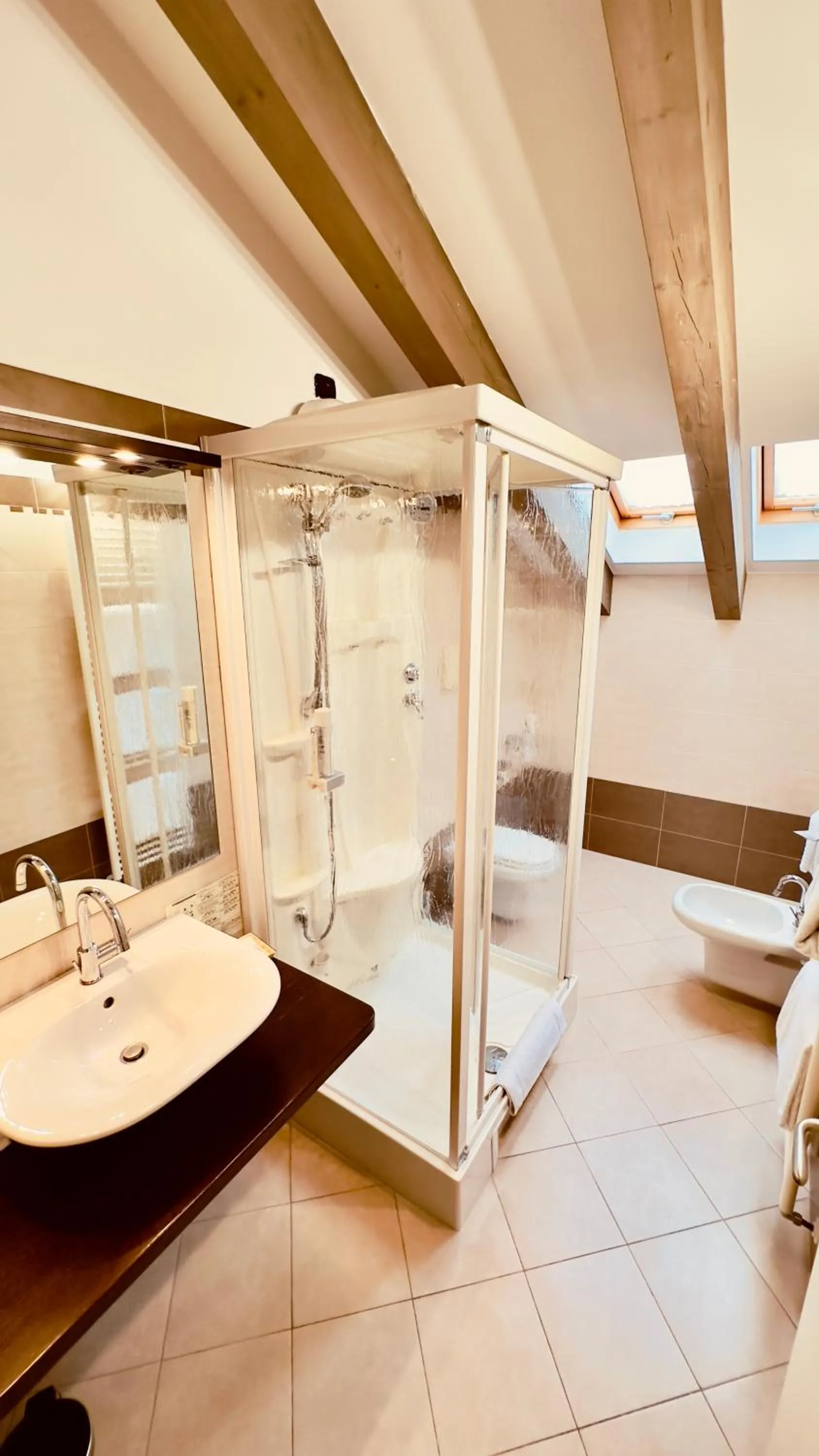 Shower in Hotel Malpensa INN Aereoporto