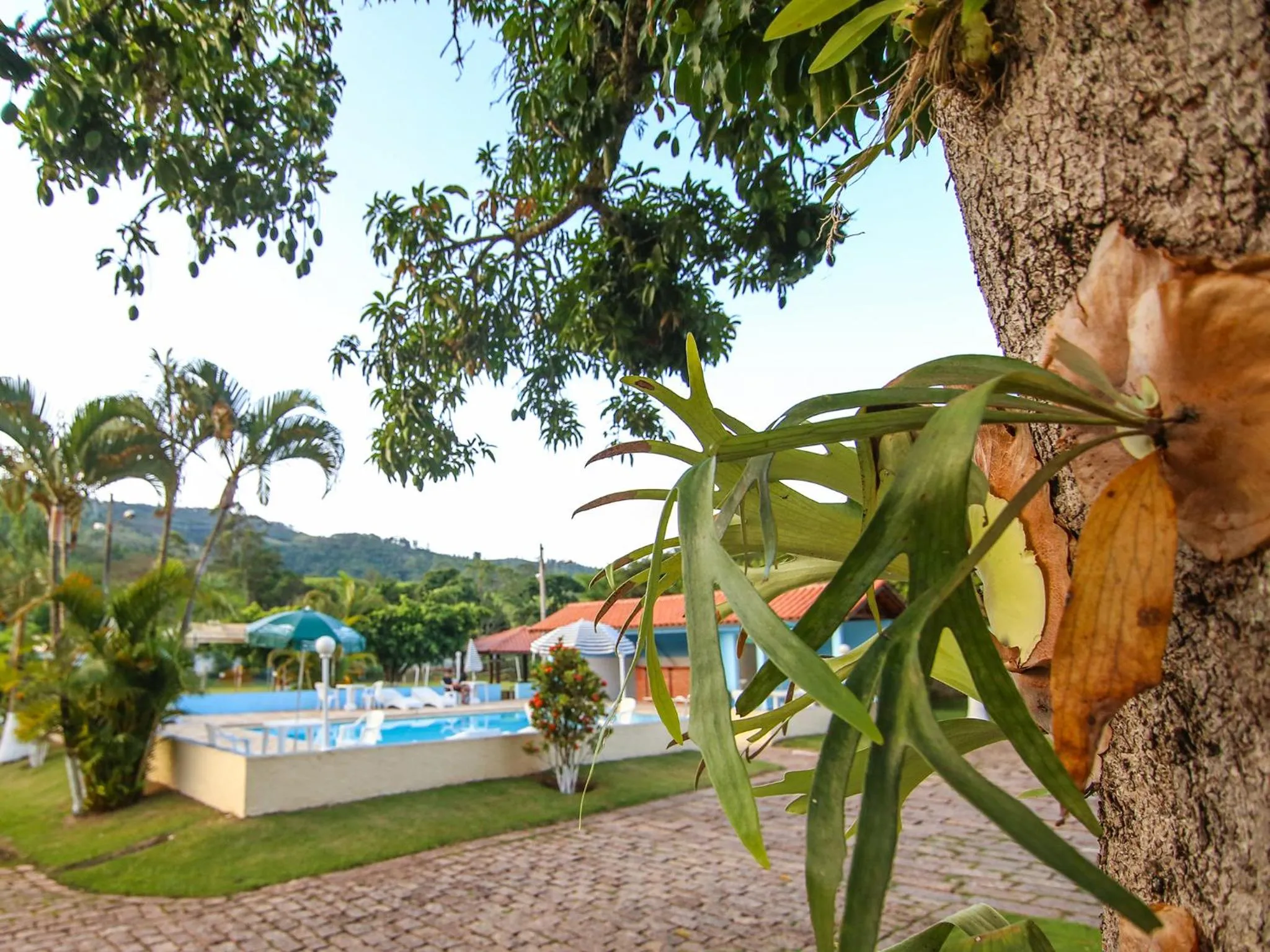 Pool view in Pousada Vale da Montanha