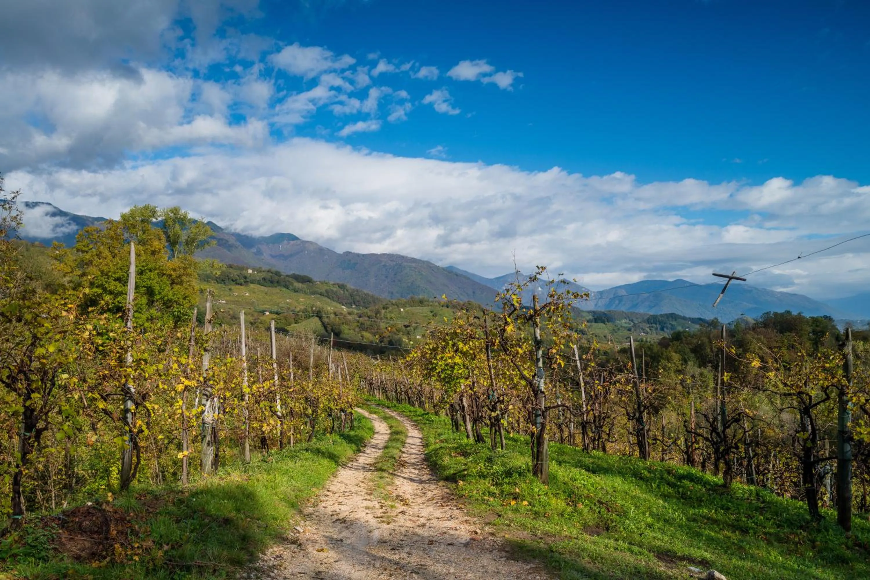 Nearby landmark in Hotel Tegorzo
