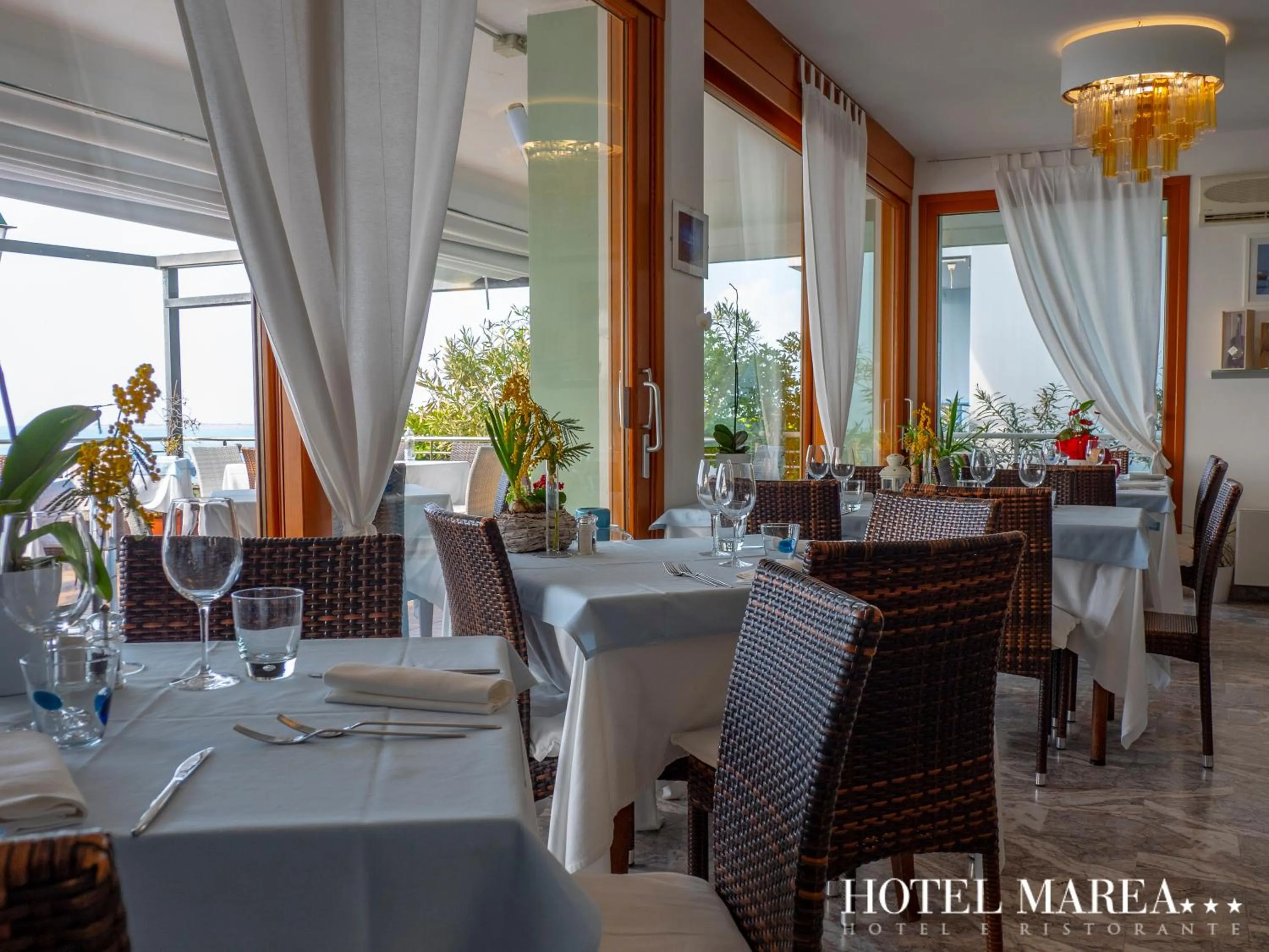 Restaurant/places to eat in Hotel Marea