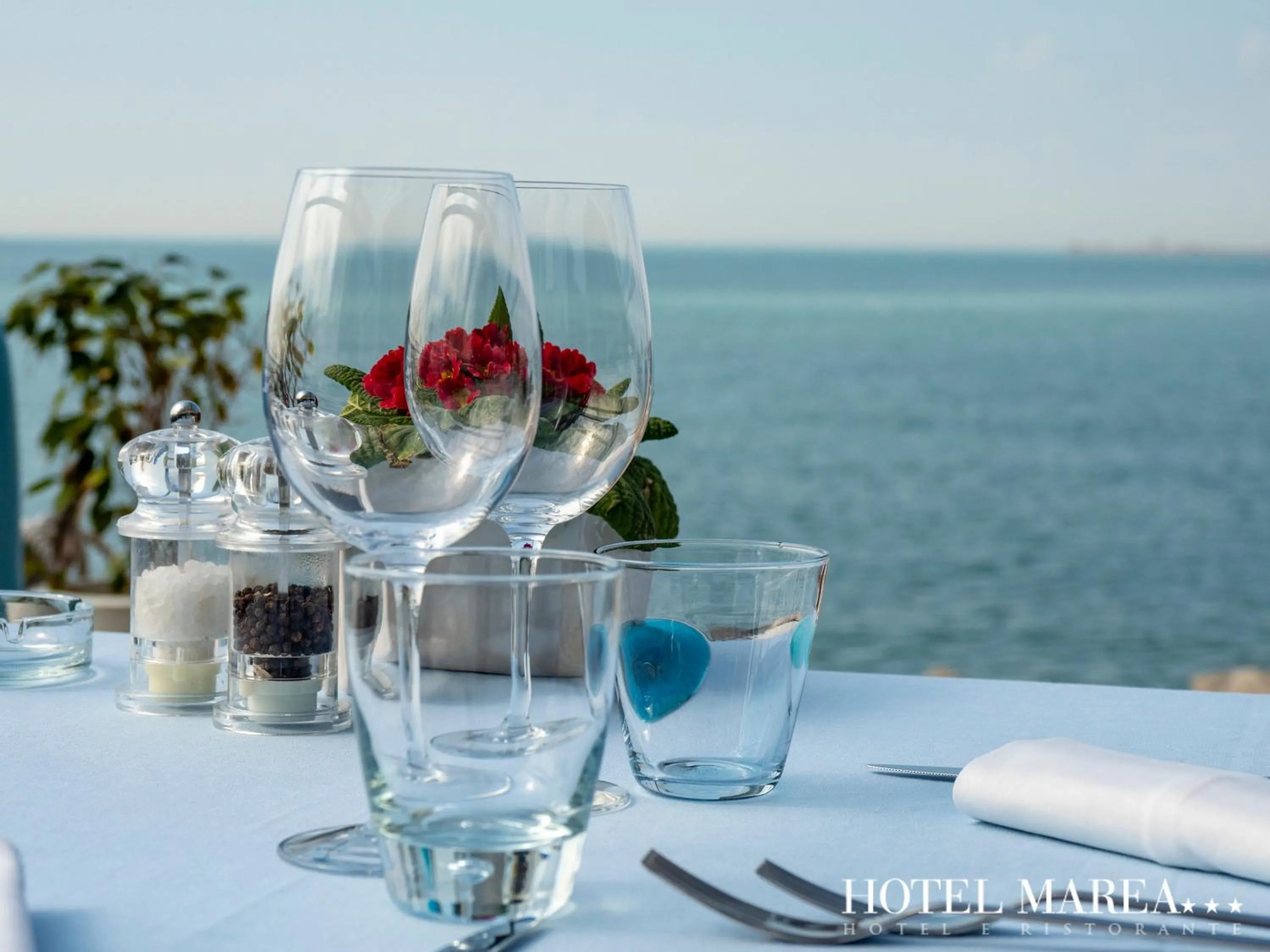 Restaurant/places to eat in Hotel Marea