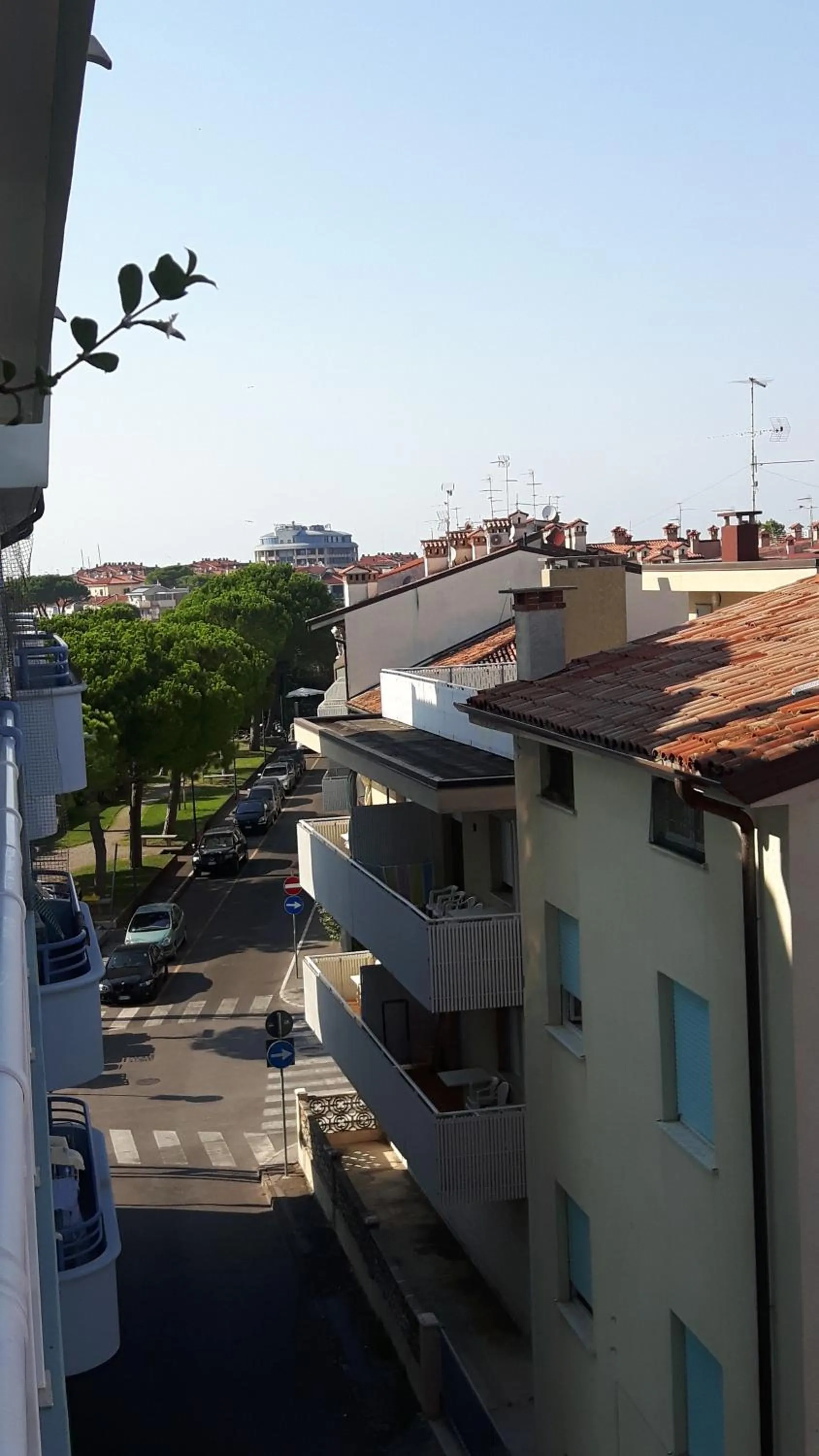 Neighbourhood in Hotel Marea