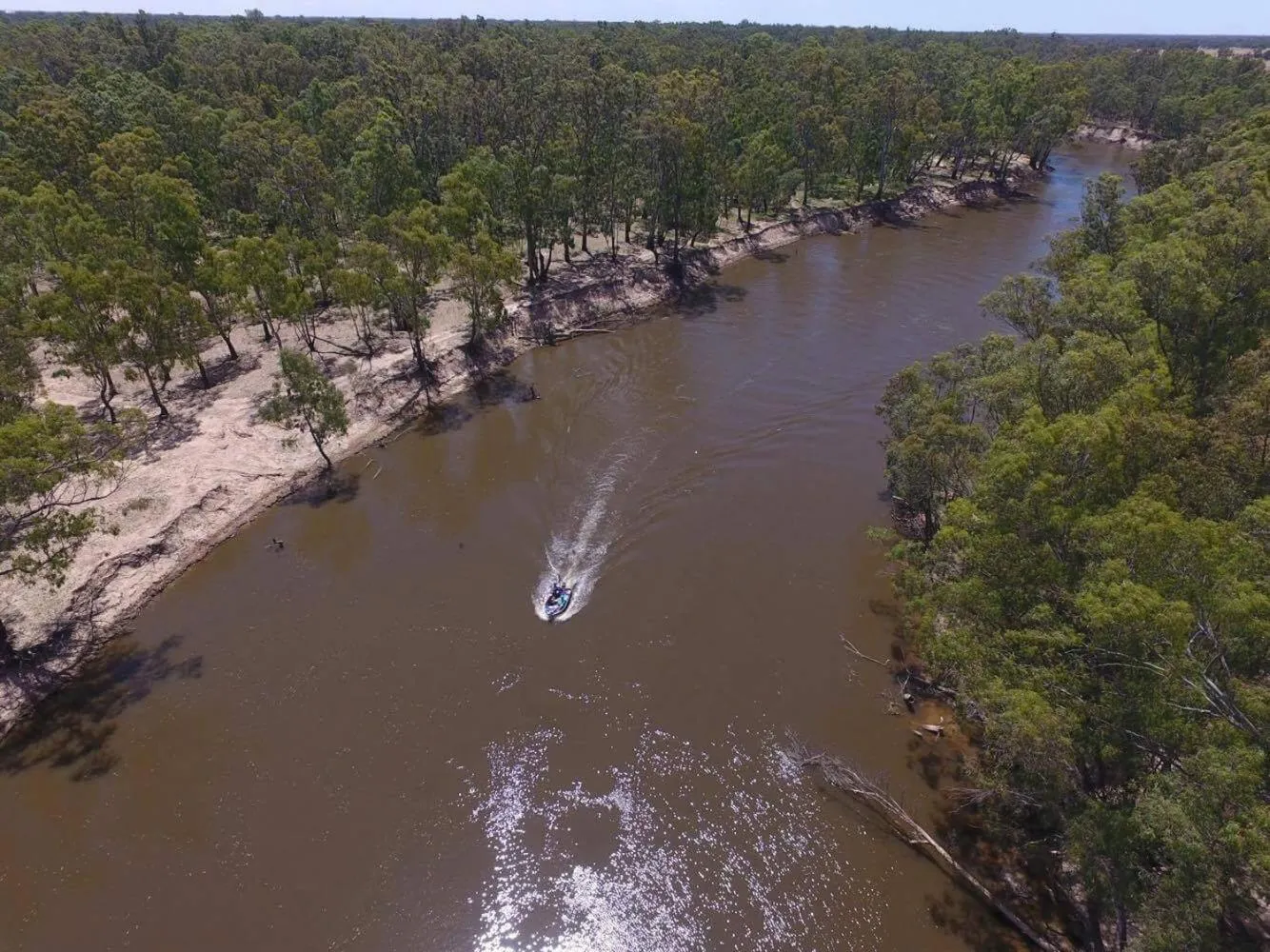 Natural landscape in McLean Beach Holiday Park