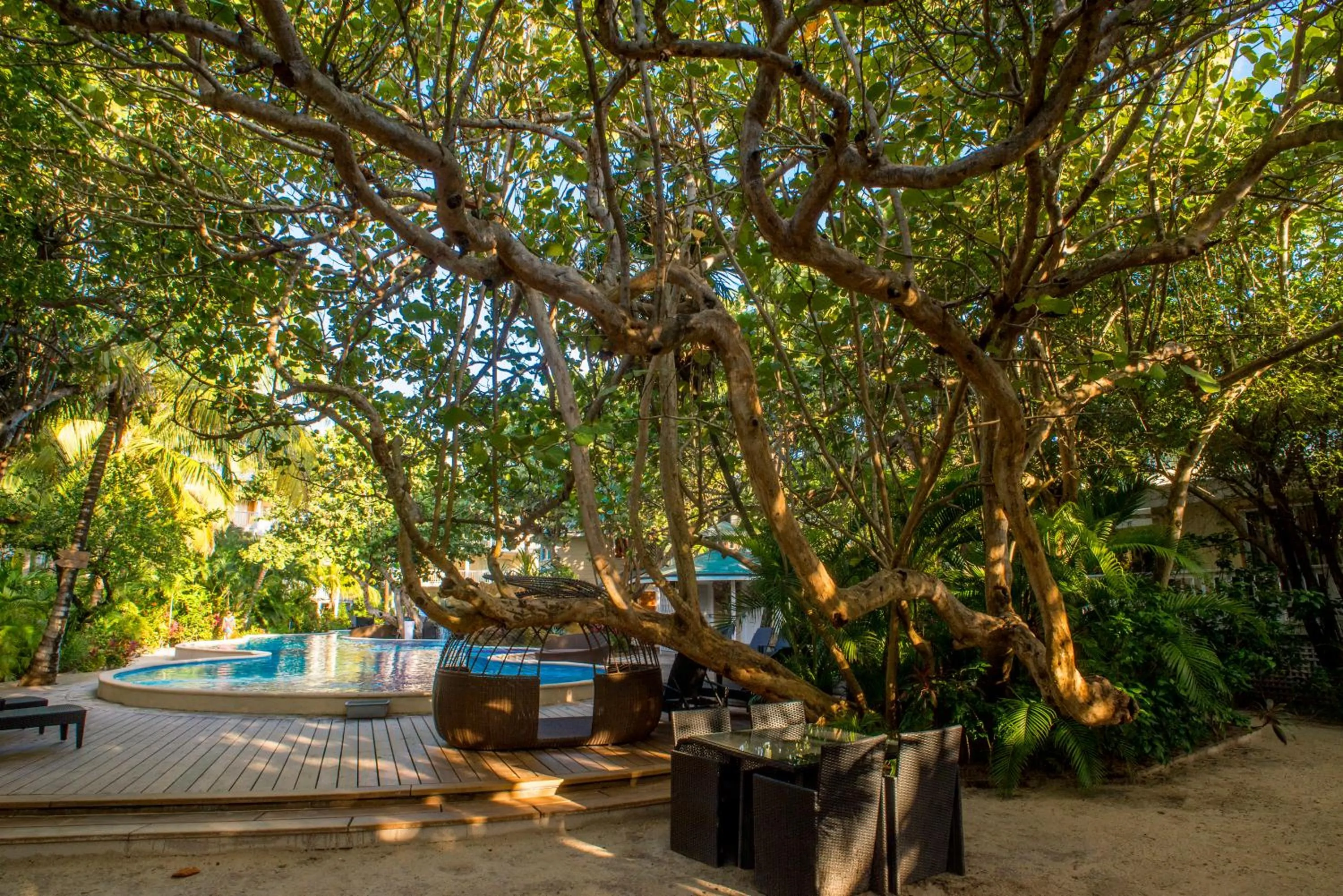 Spring in Paradise Beach Hotel & Resort