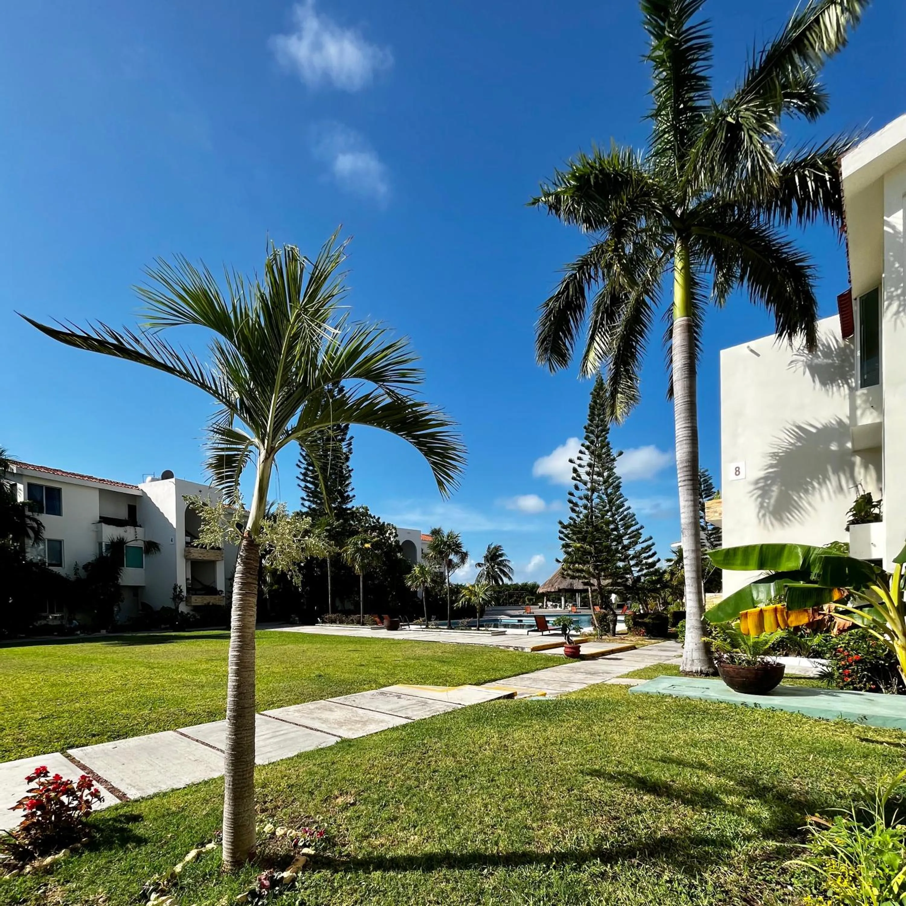 Garden view in Condominio en ZH Cancun